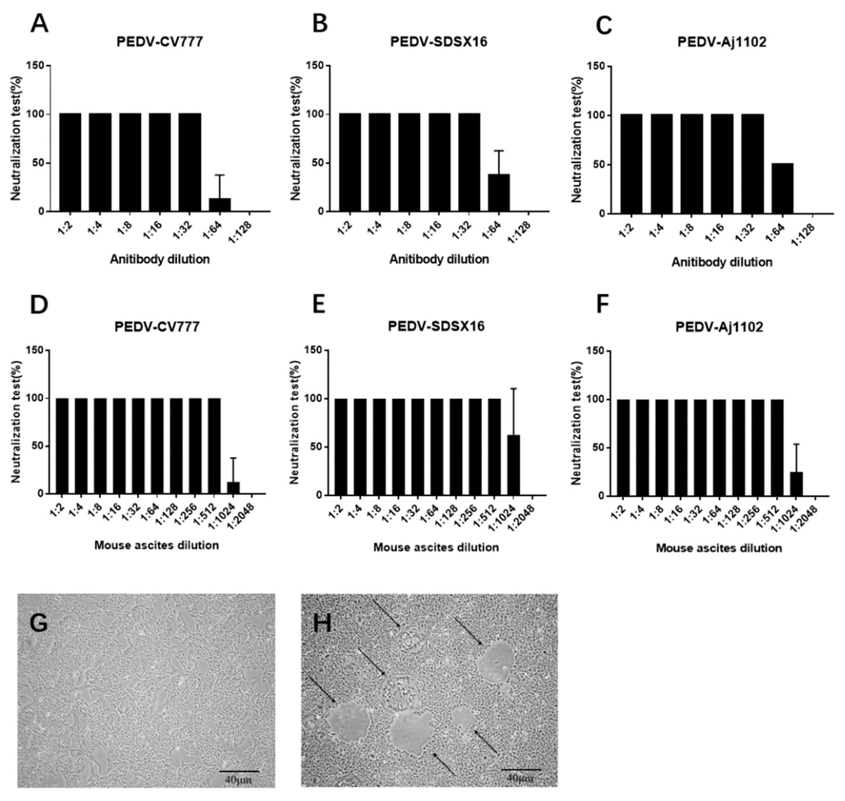 Viruses 13 00472 g004