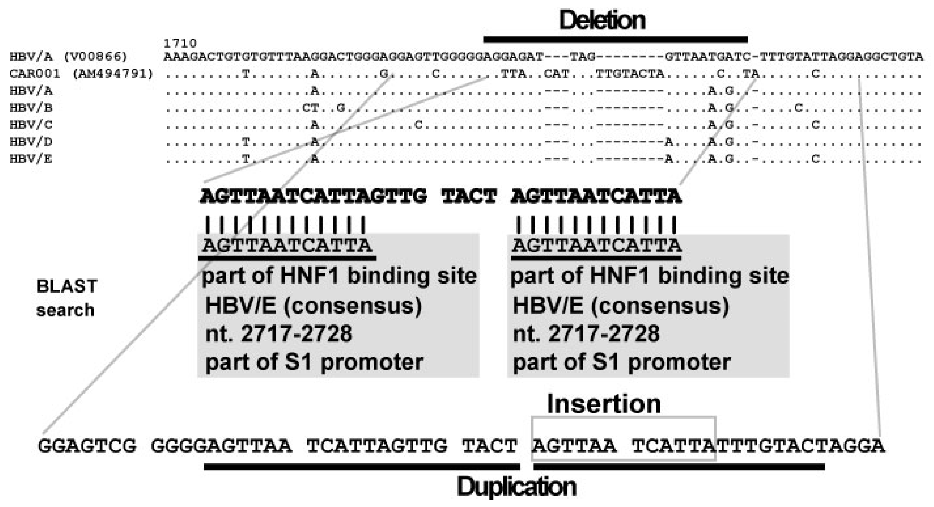 Viruses 13 00473 g001 Viruses 13 00473 g001