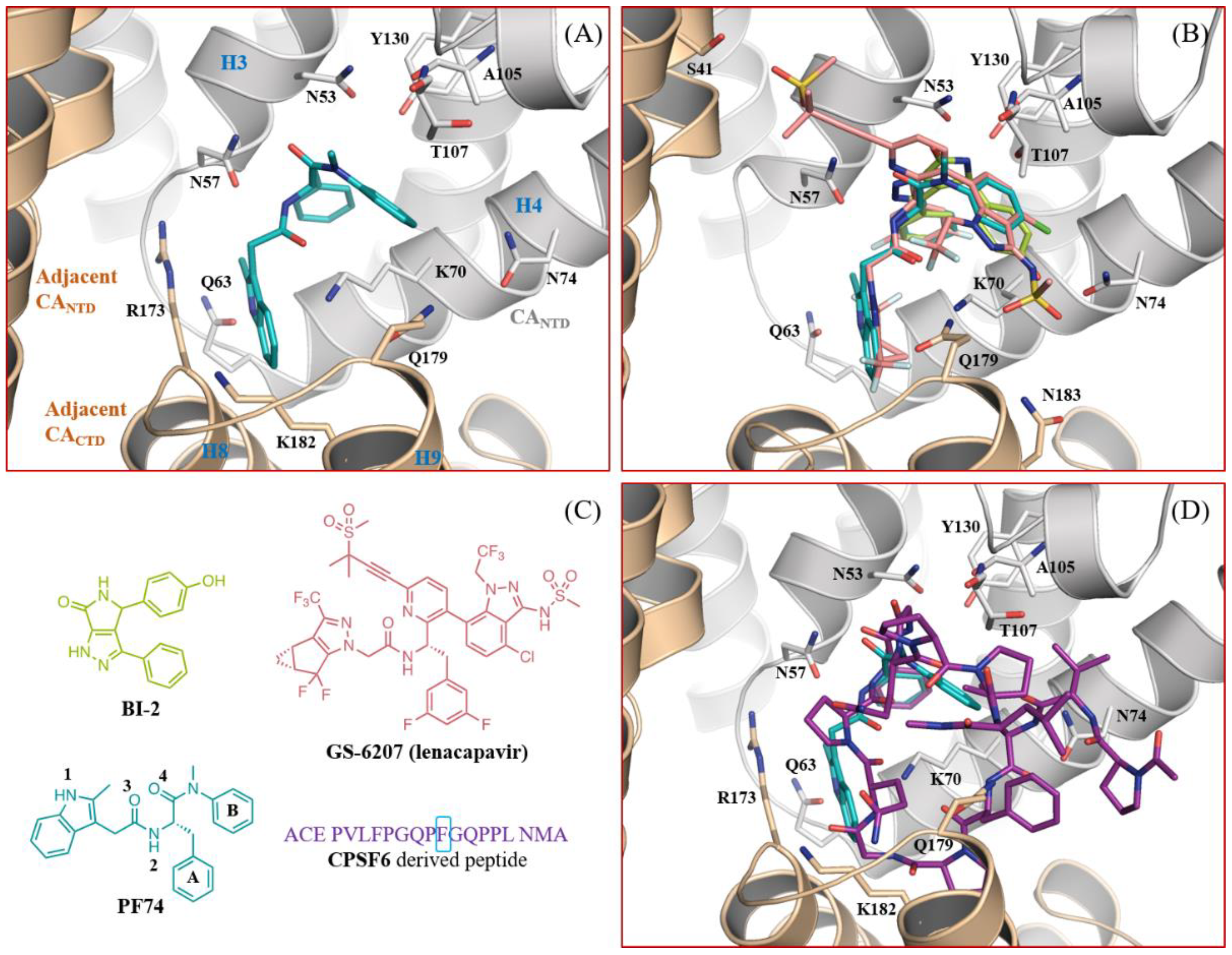 Viruses 13 00479 g001 Viruses 13 00479 g001