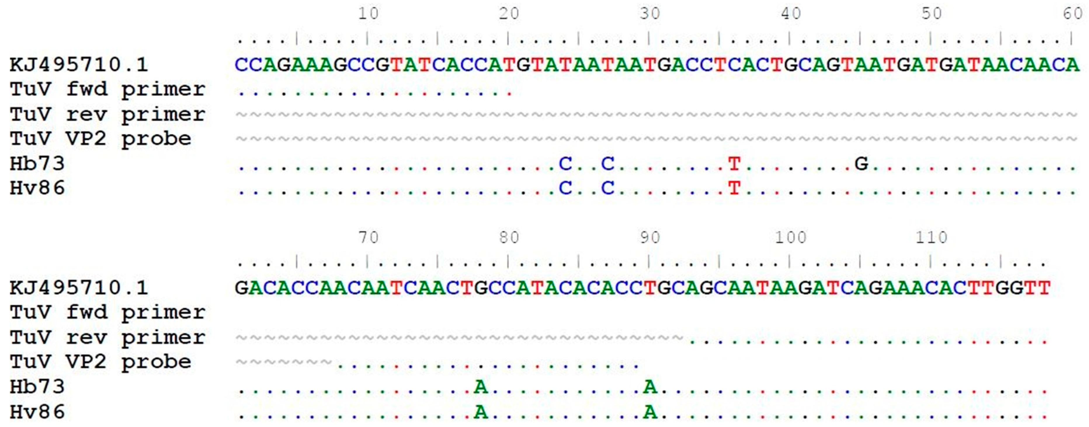 Viruses 13 00483 g002 Viruses 13 00483 g002