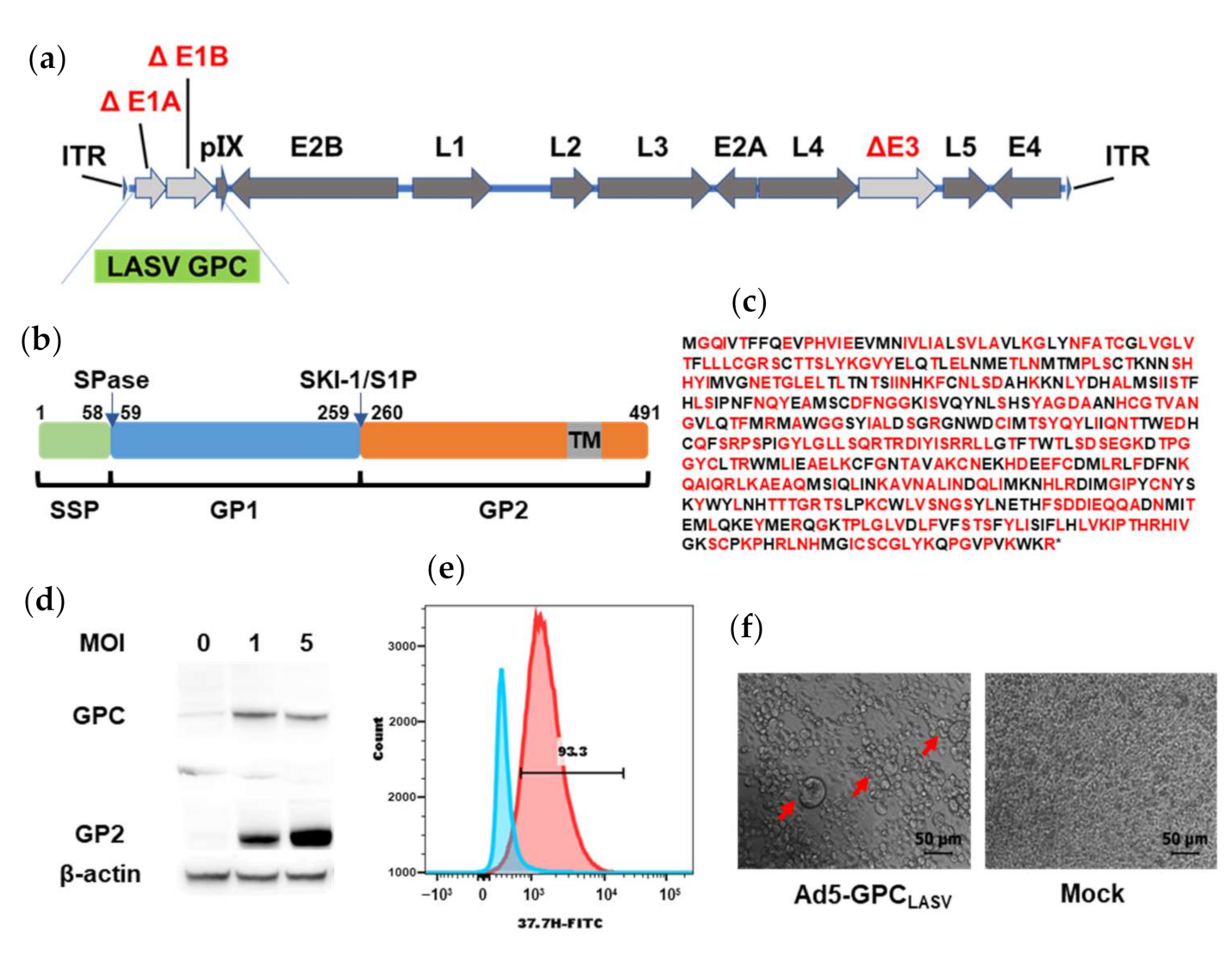Viruses 13 00484 g002 Viruses 13 00484 g002