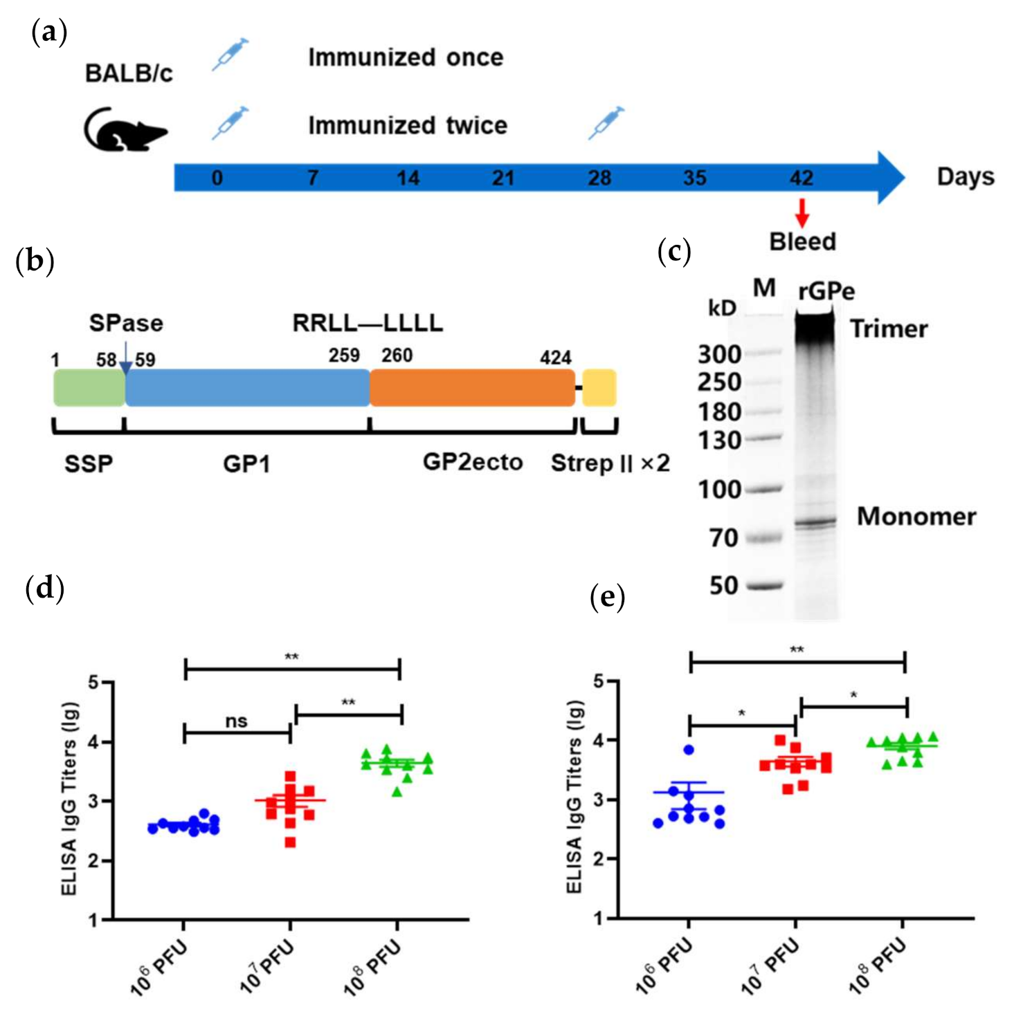 Viruses 13 00484 g003 Viruses 13 00484 g003