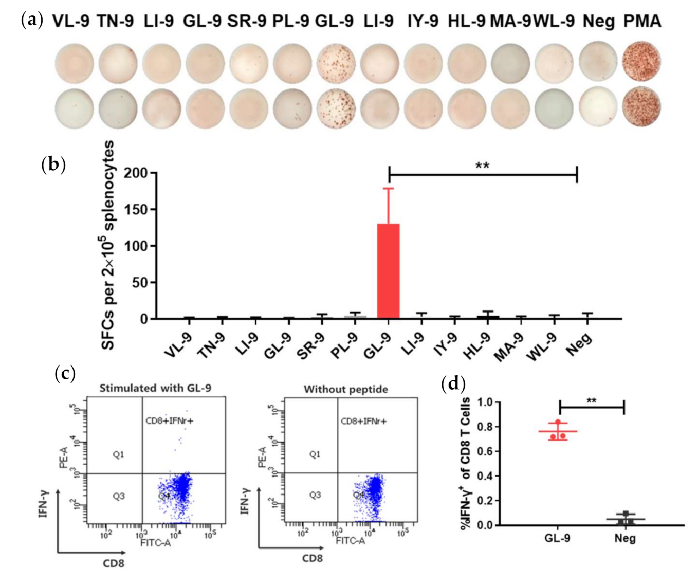 Viruses 13 00484 g004 Viruses 13 00484 g004
