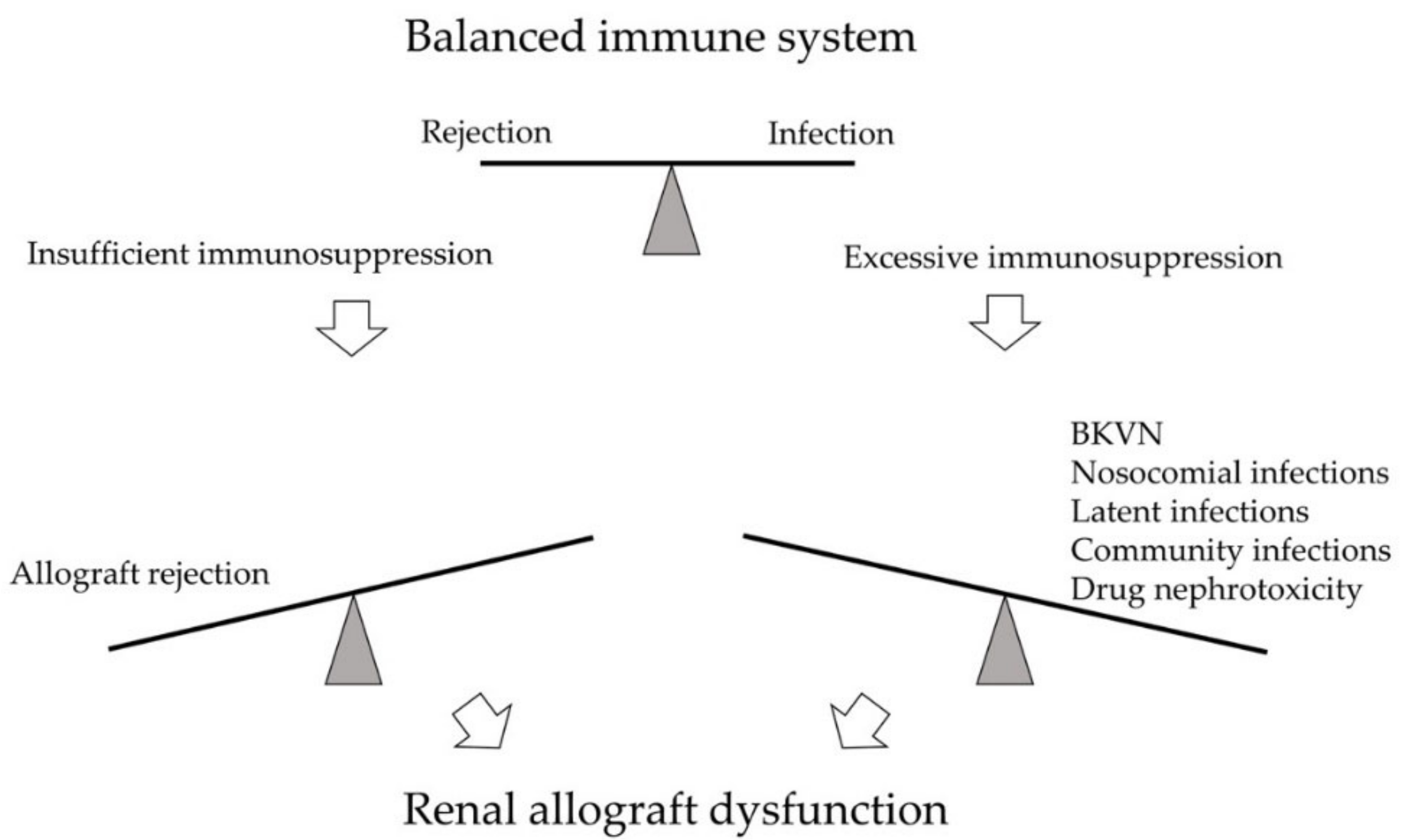 Treatment Of Bk Virus In Kidney Transplantation BK Polyomavirus Nephropathy in Kidney Transplantation: Balancing