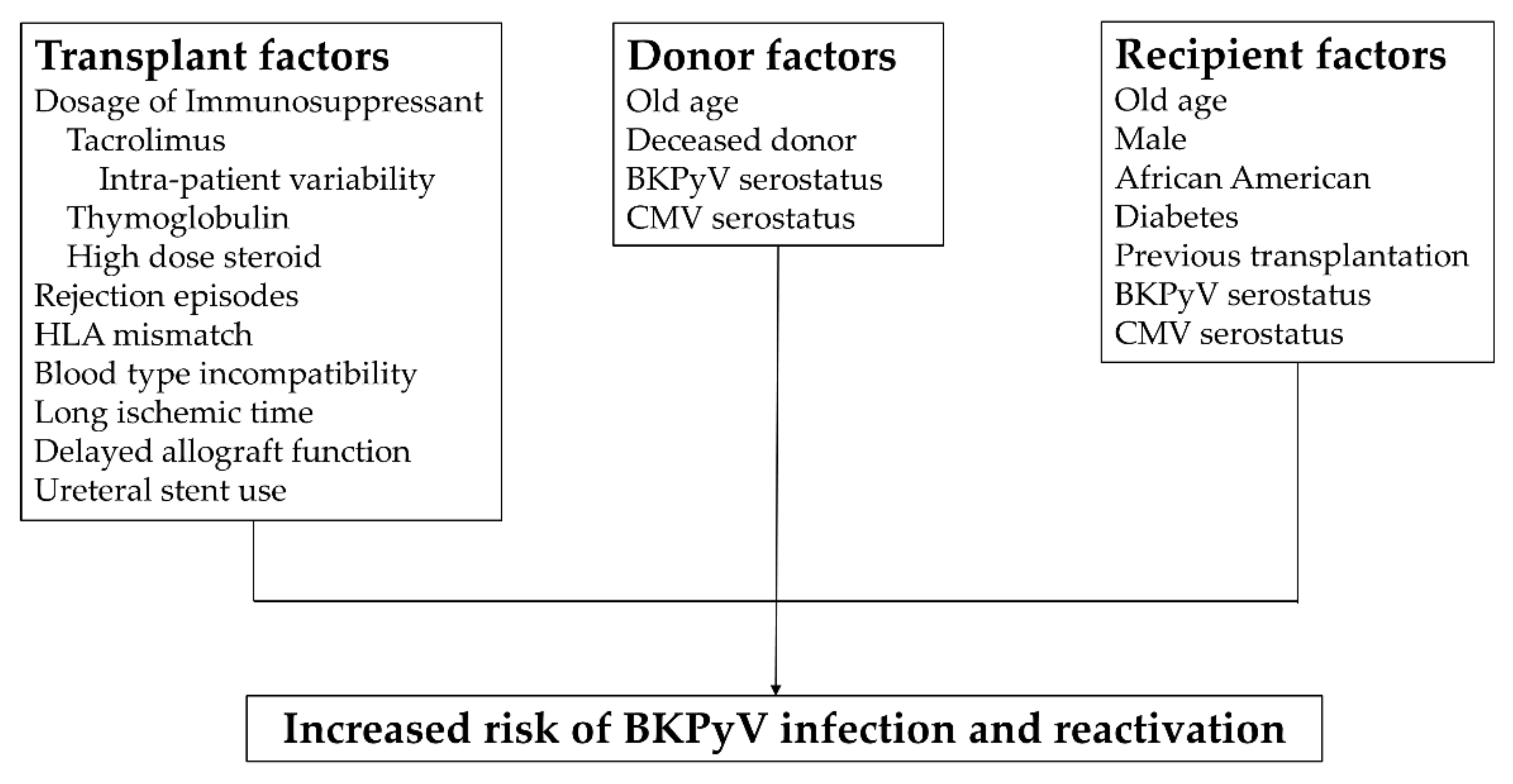 Viruses 13 00487 g002 Viruses 13 00487 g002