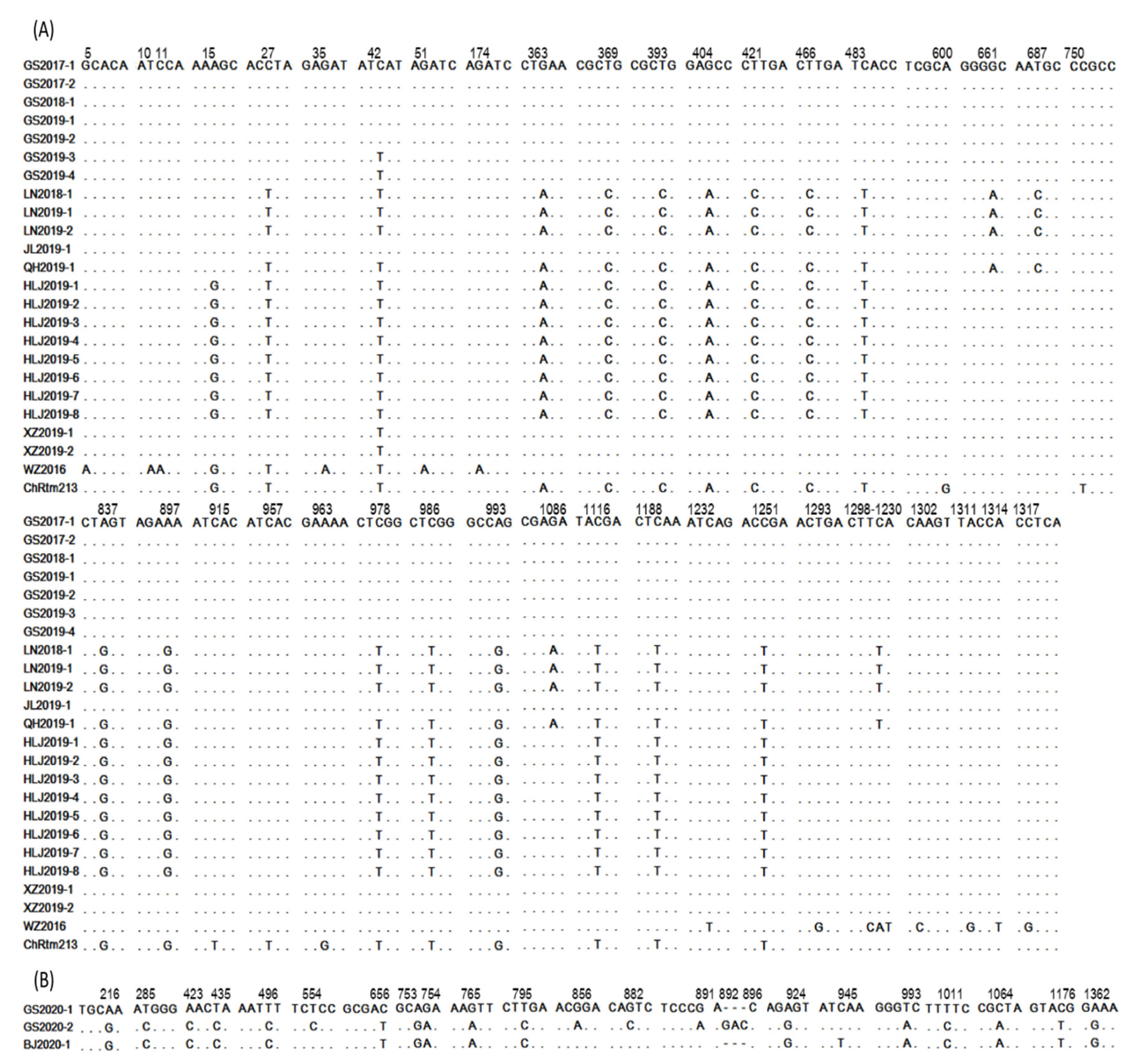 Viruses 13 00488 g002 Viruses 13 00488 g002