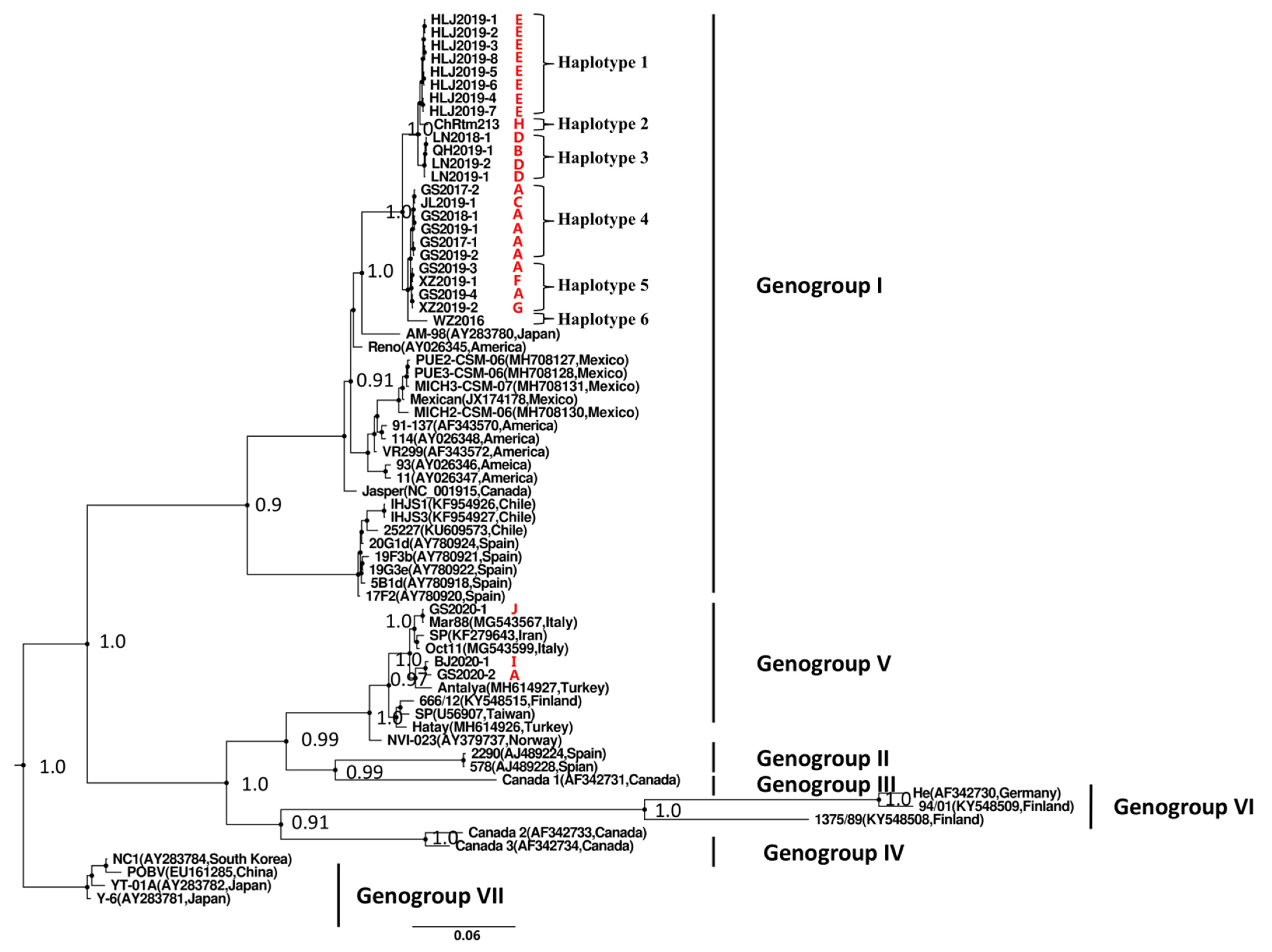 Viruses 13 00488 g003 Viruses 13 00488 g003