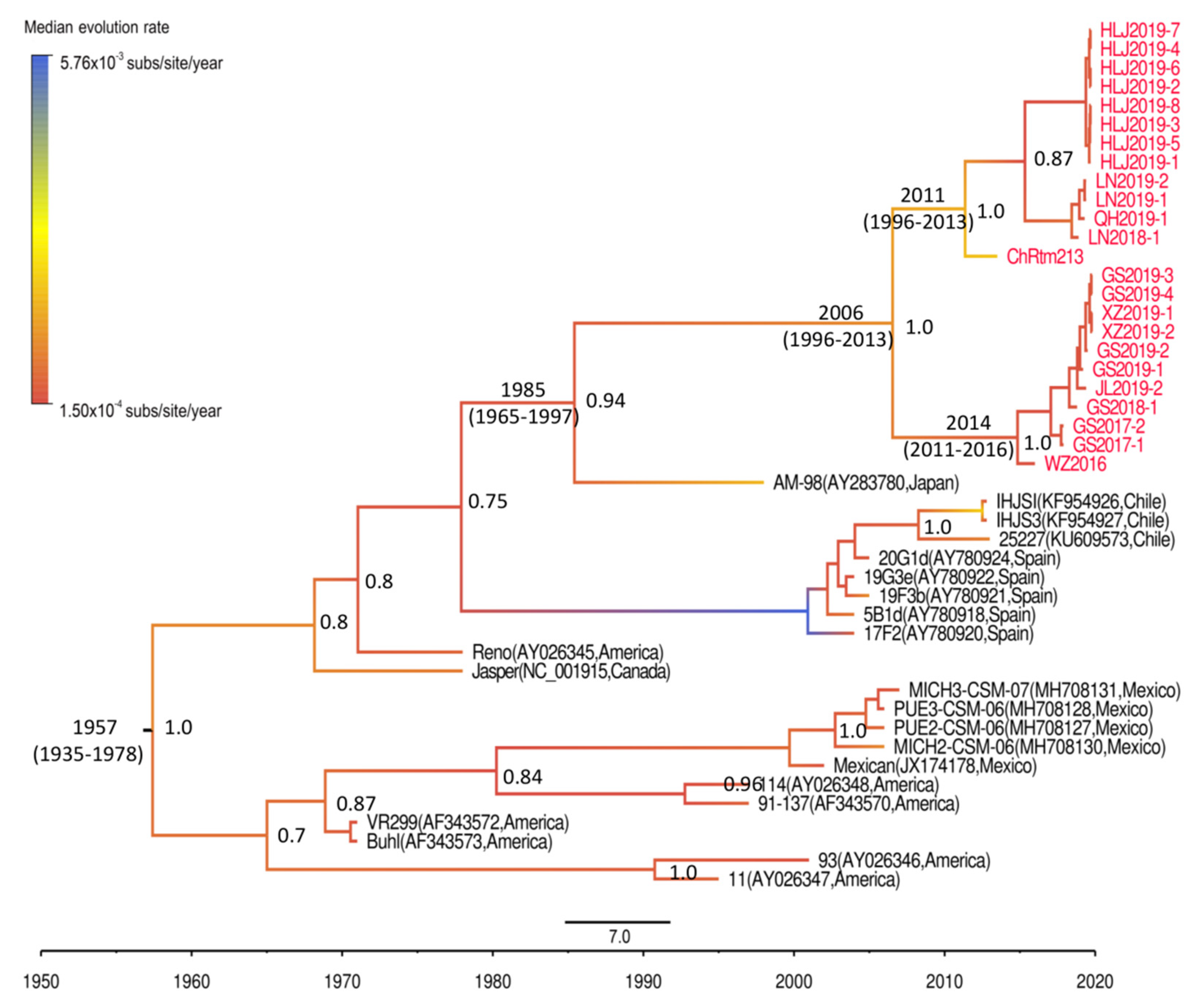 Viruses 13 00488 g004 Viruses 13 00488 g004