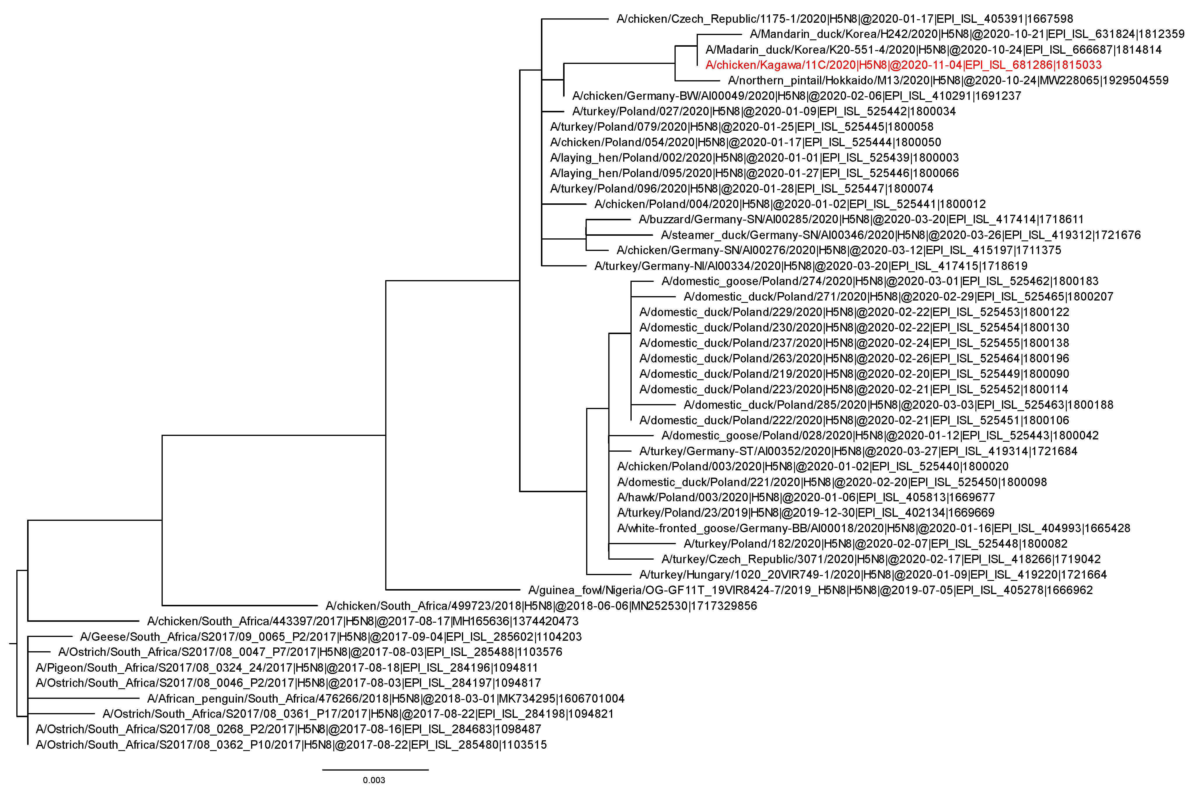 Viruses 13 00489 g001 Viruses 13 00489 g001