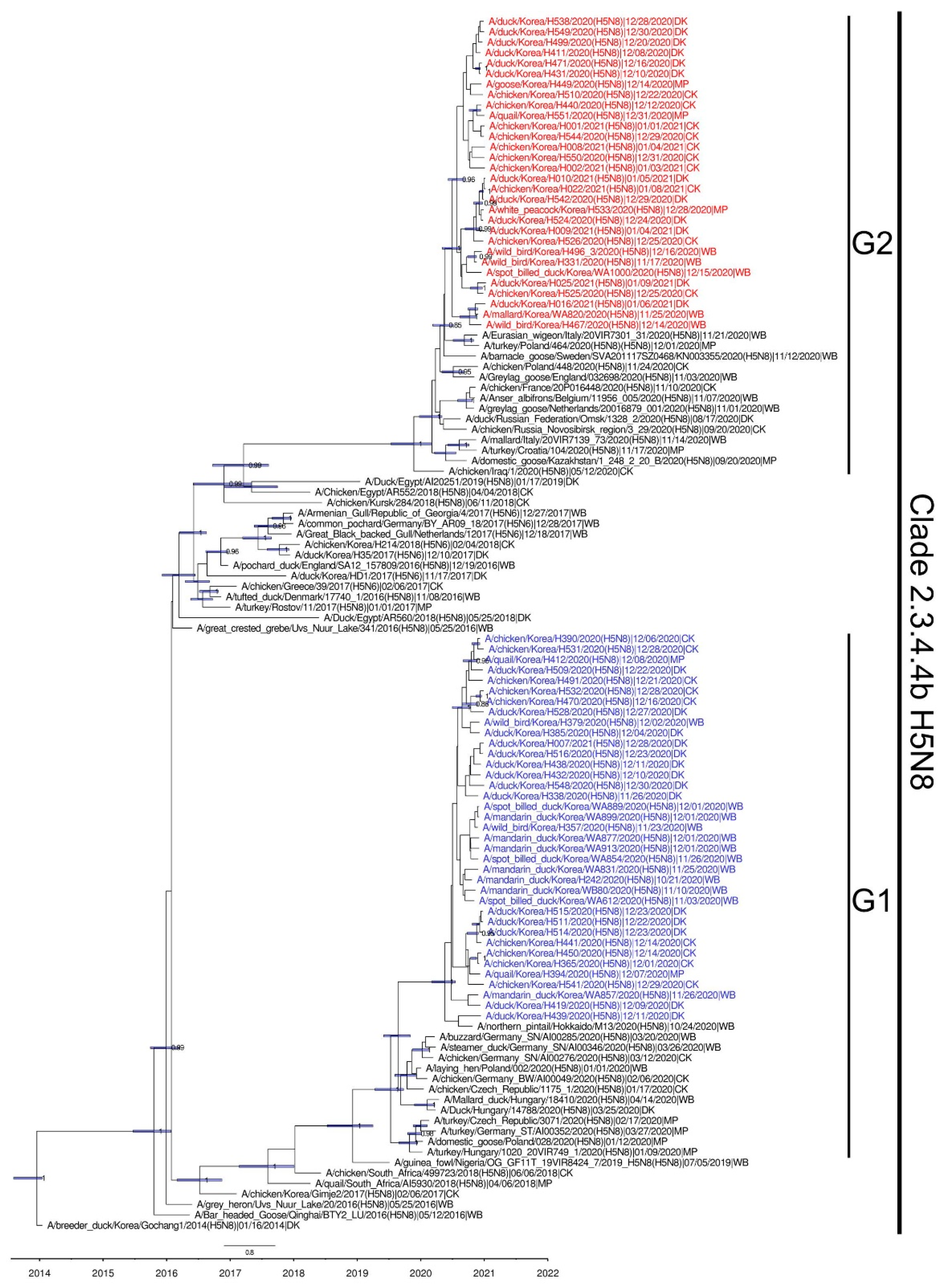 Viruses 13 00490 g002 Viruses 13 00490 g002