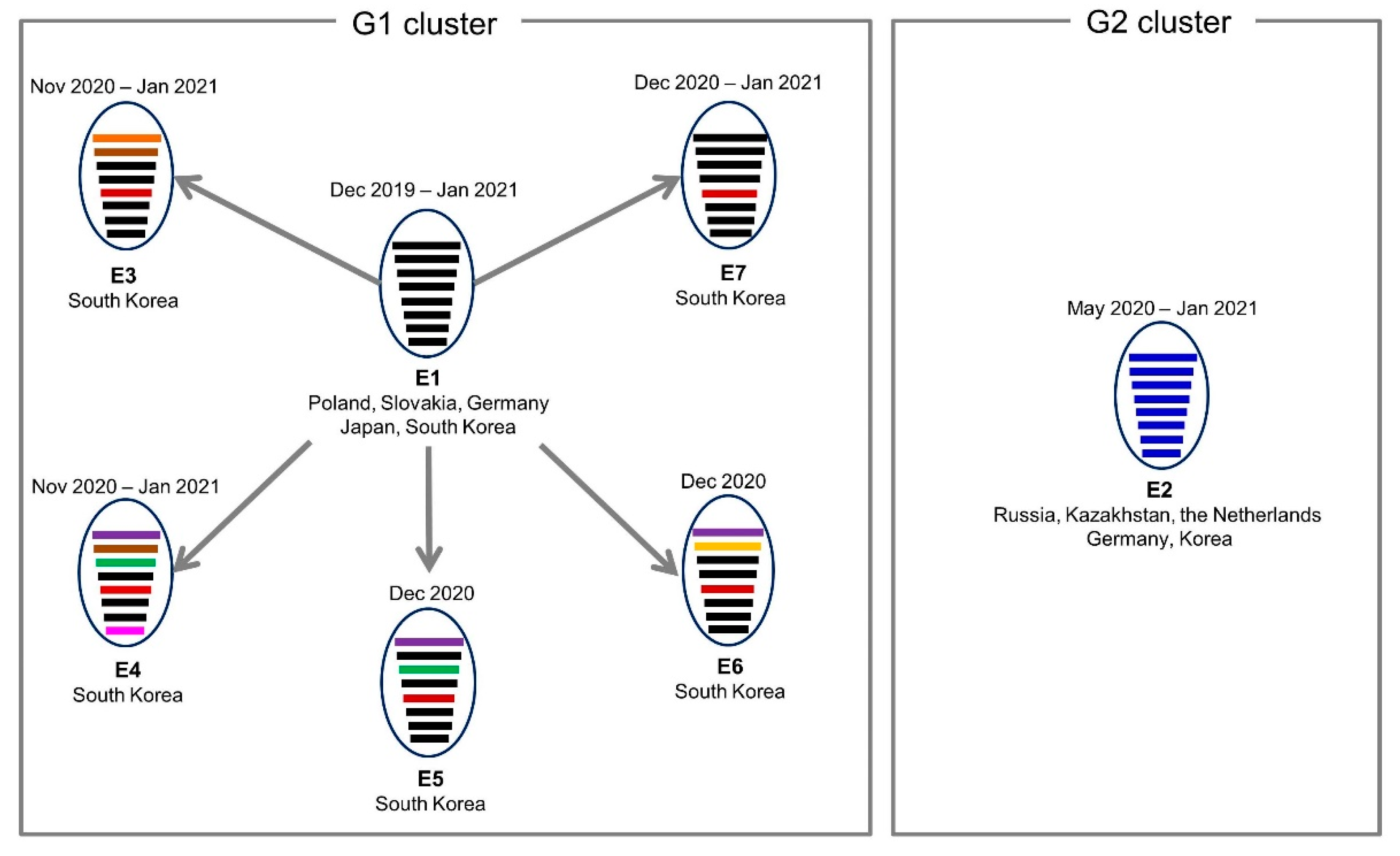 Viruses 13 00490 g003 Viruses 13 00490 g003