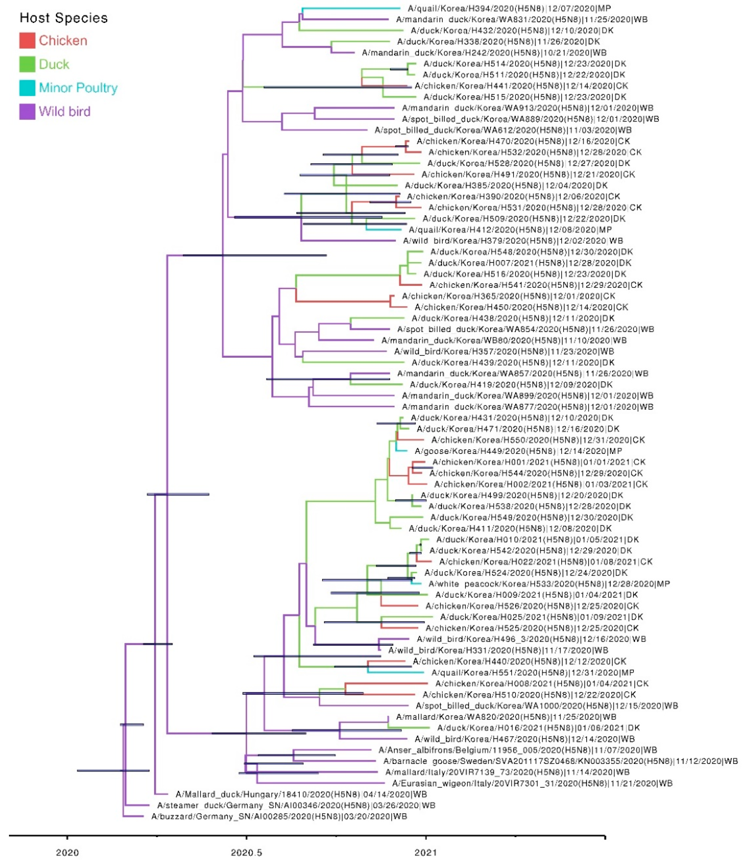 Viruses 13 00490 g004 Viruses 13 00490 g004