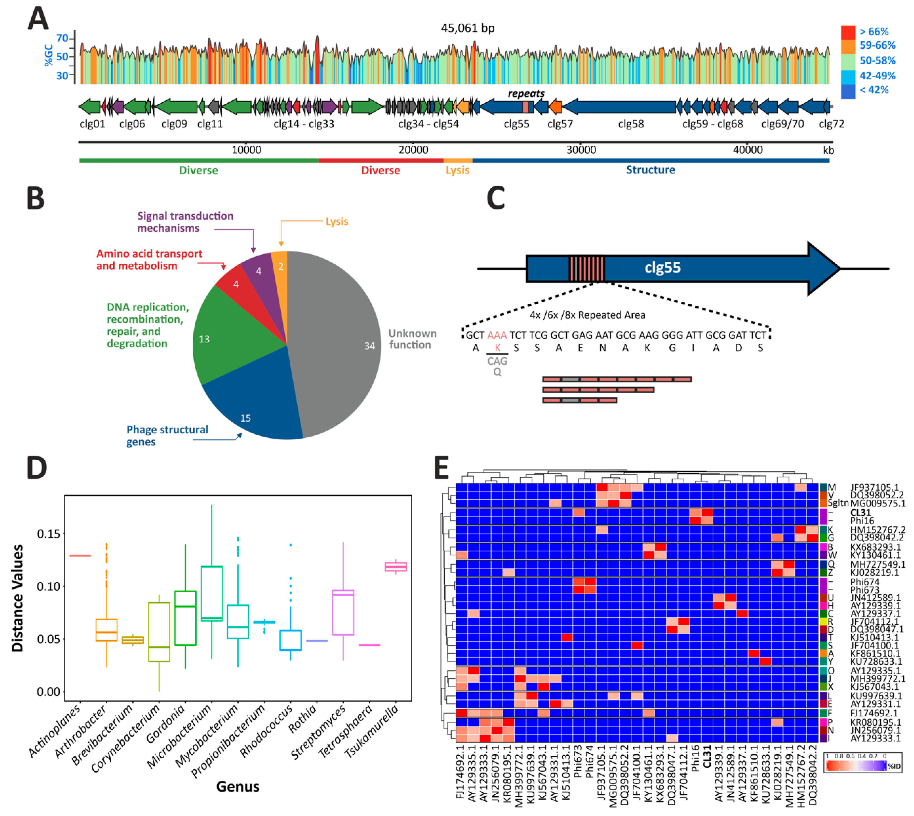 Viruses 13 00495 g001