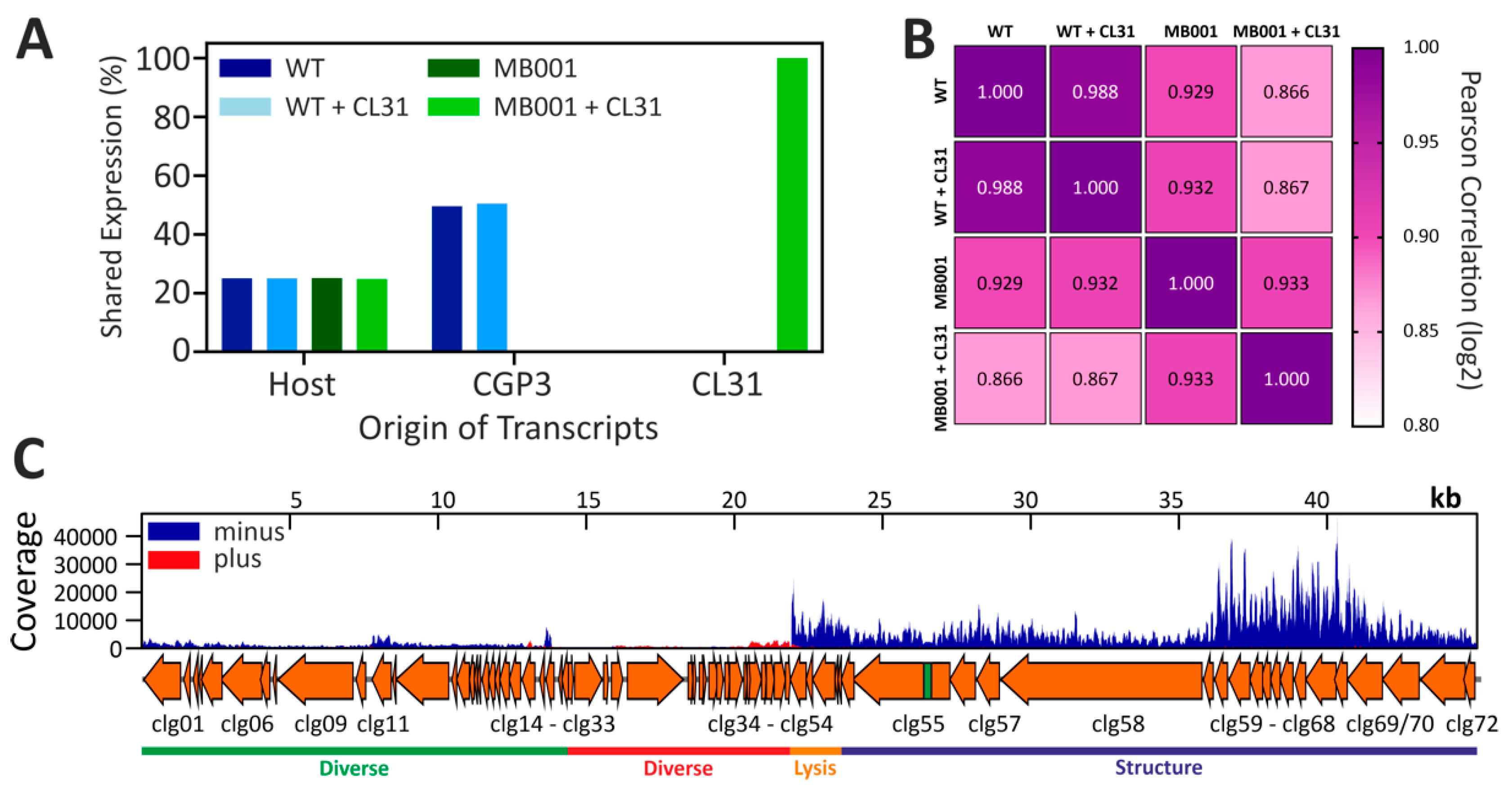 Viruses 13 00495 g004