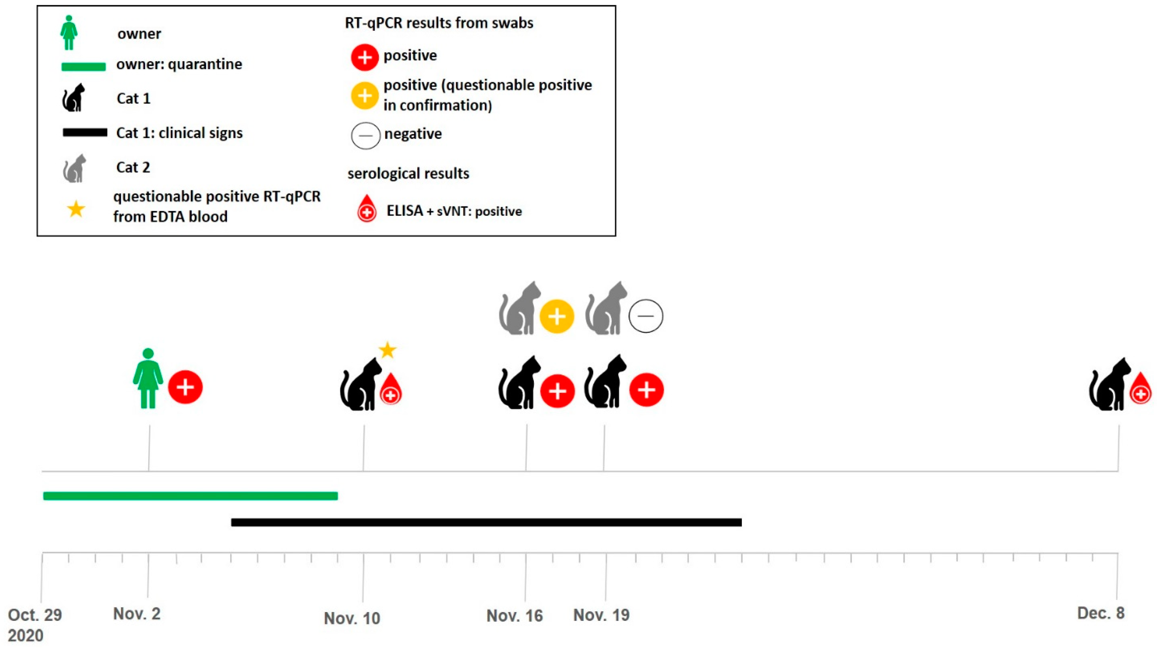 Viruses Free Full Text Detection And Genome Sequencing Of Sars Cov 2 In A Domestic Cat With Respiratory Signs In Switzerland Html