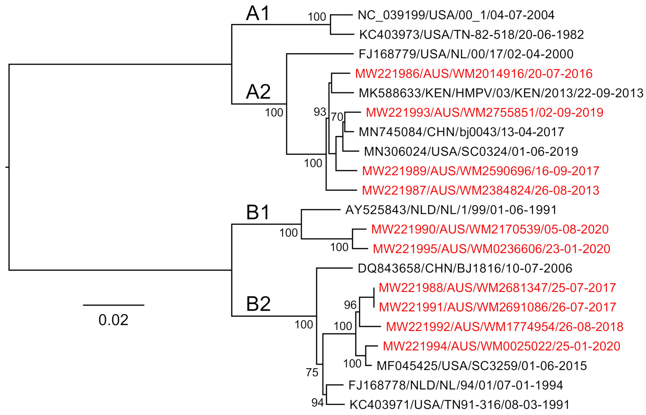 Viruses 13 00499 g005 Viruses 13 00499 g005
