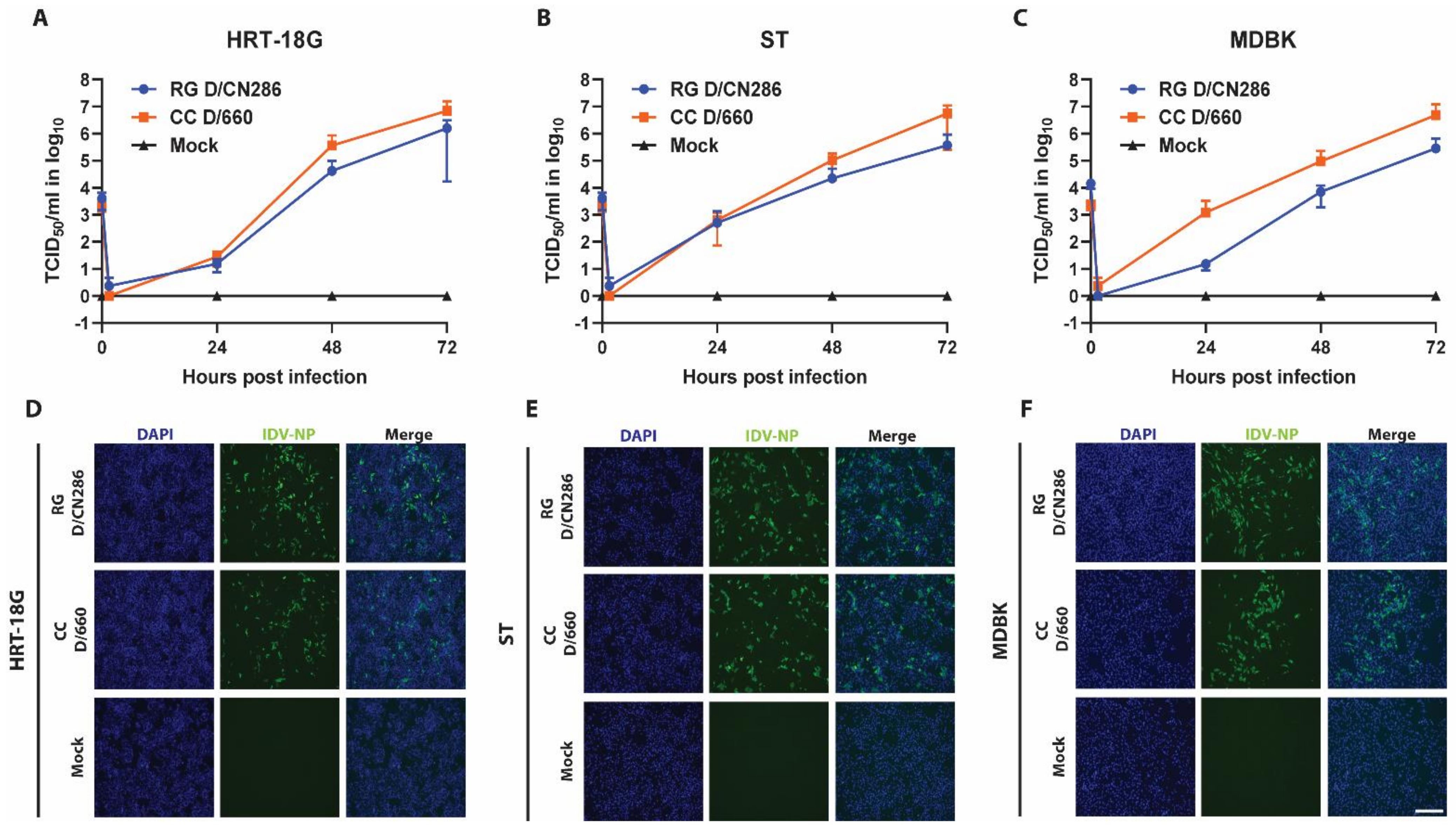 Viruses 13 00502 g004 Viruses 13 00502 g004