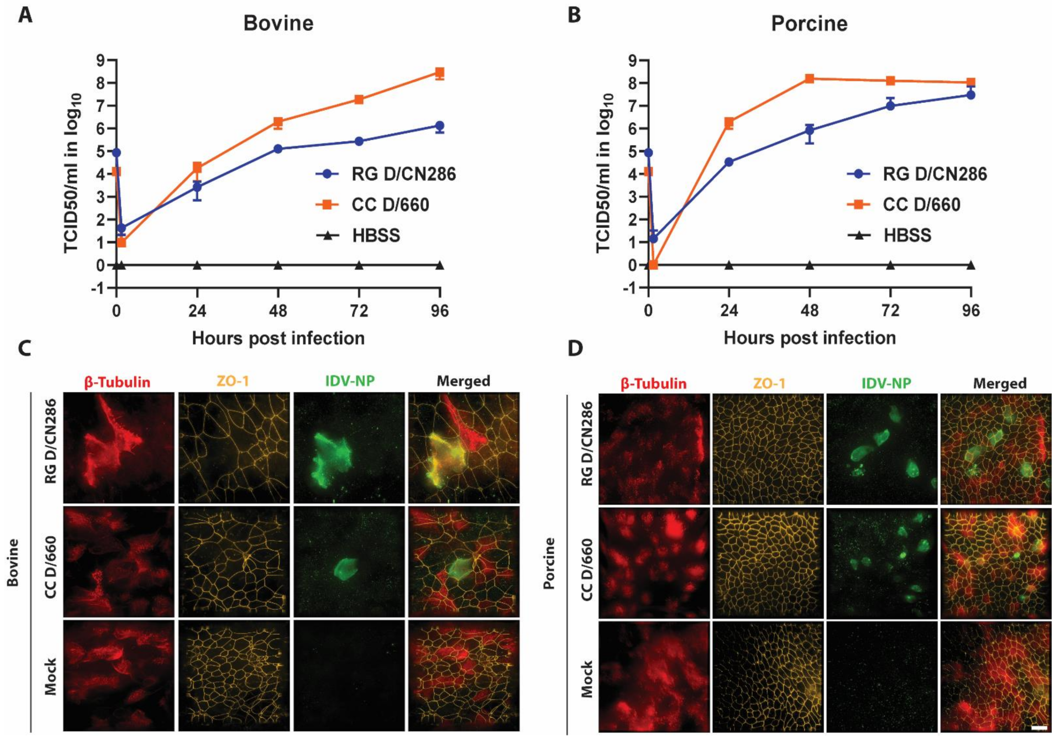 Viruses 13 00502 g005 Viruses 13 00502 g005