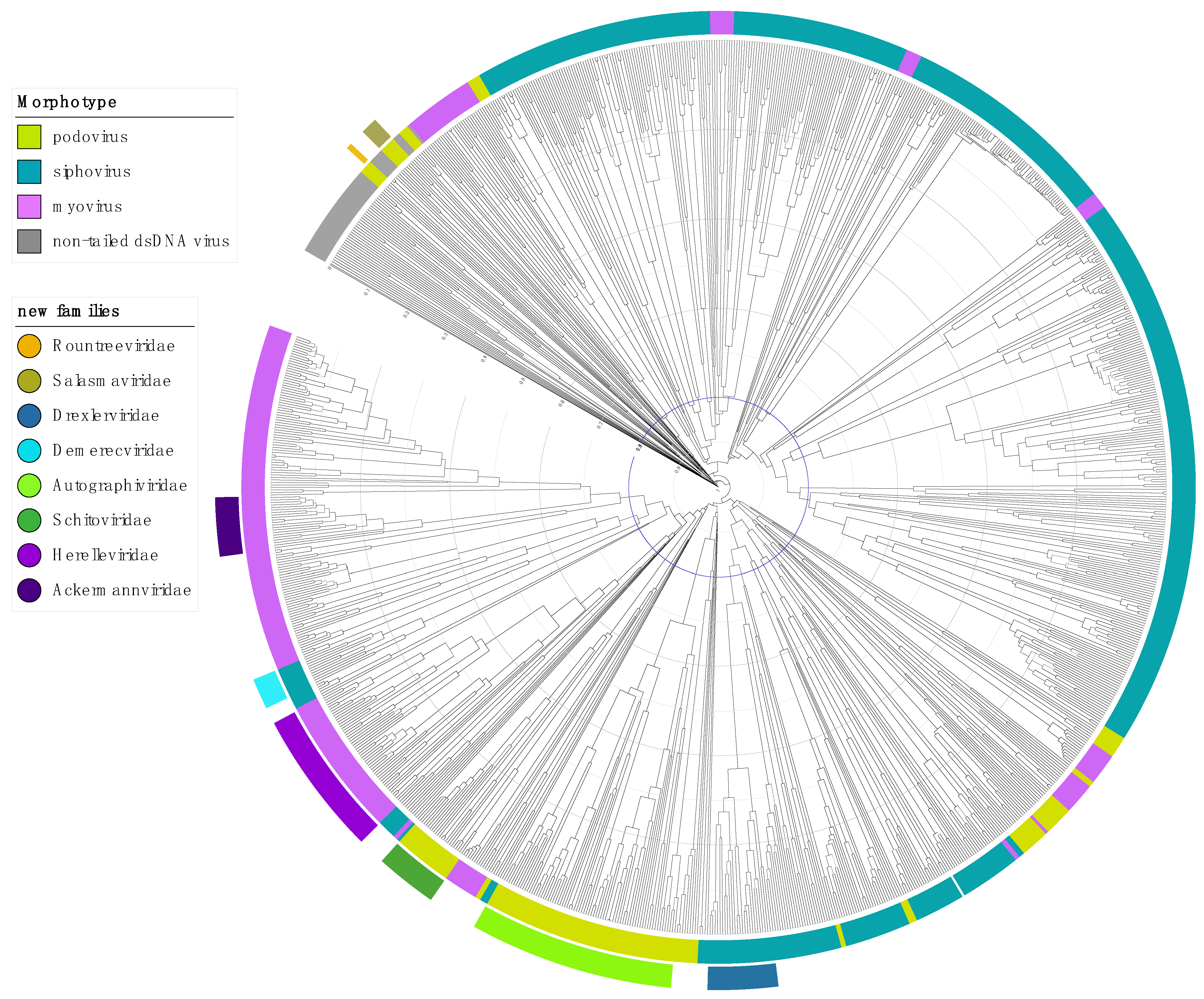 Viruses 13 00506 g002