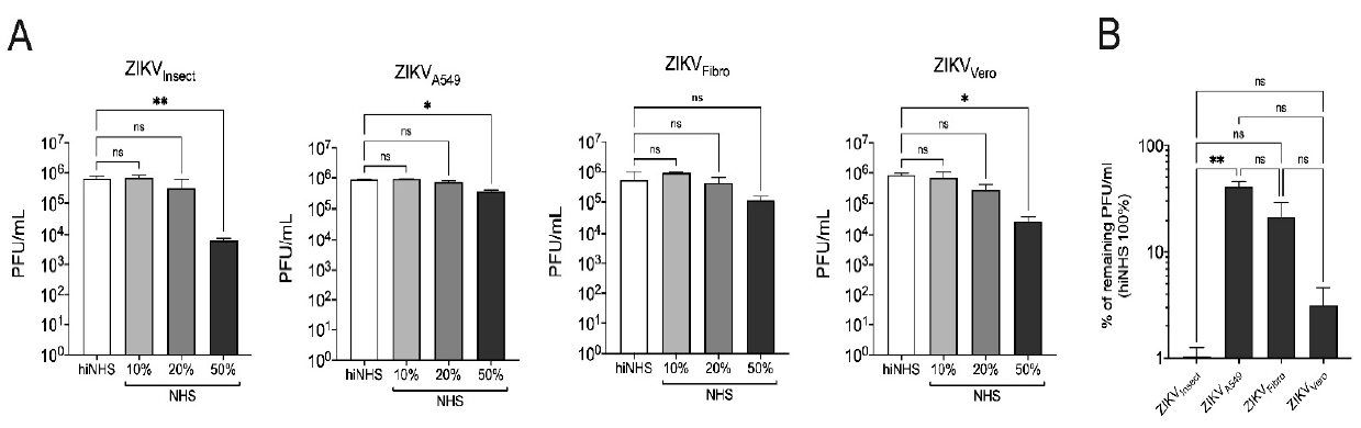 Viruses 13 00510 g001 Viruses 13 00510 g001