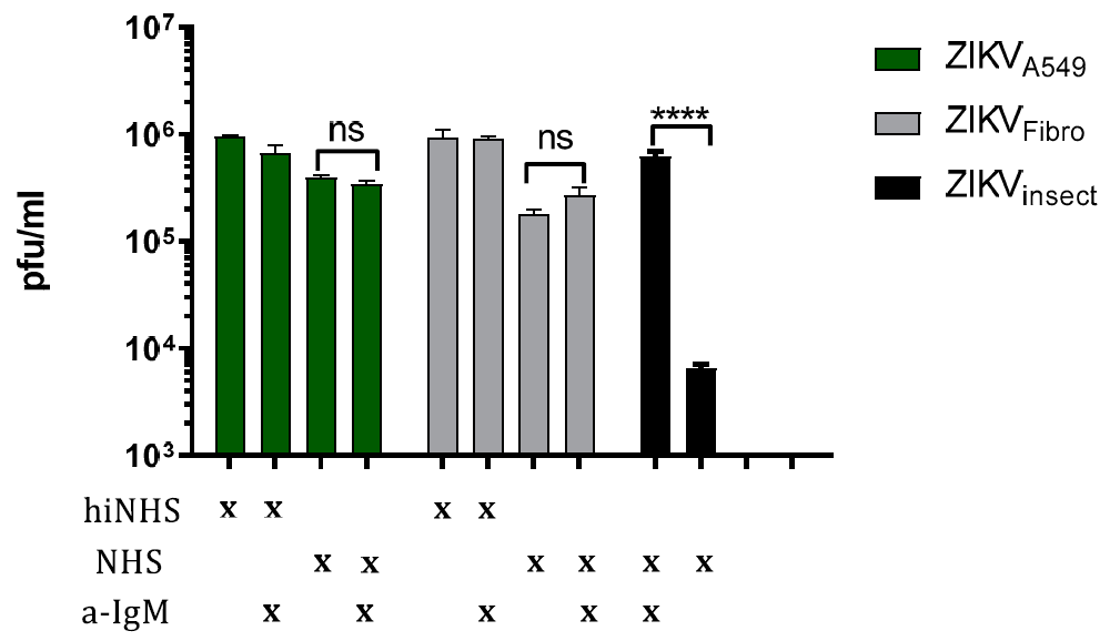 Viruses 13 00510 g002 Viruses 13 00510 g002