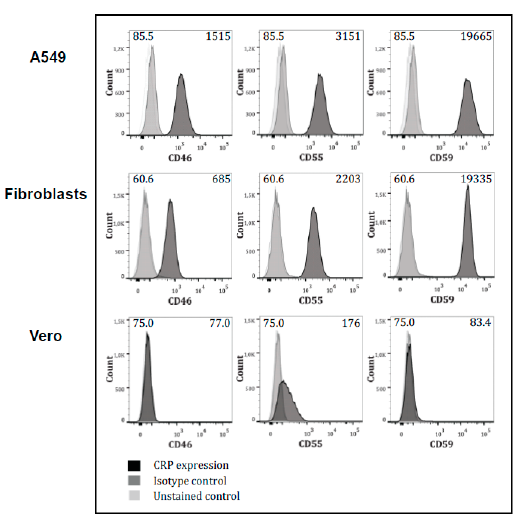 Viruses 13 00510 g003 Viruses 13 00510 g003