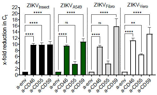 Viruses 13 00510 g004 Viruses 13 00510 g004