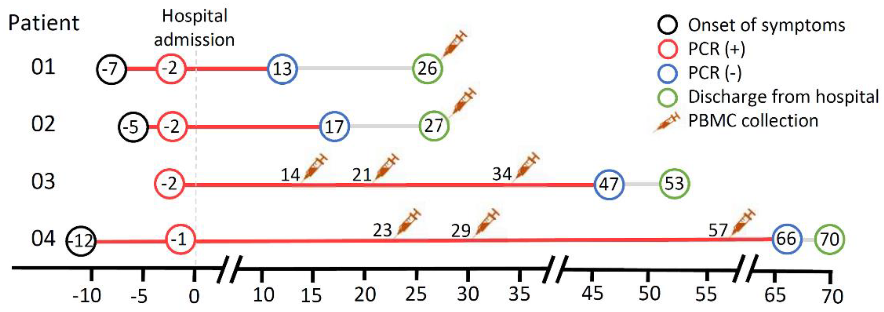 Viruses 13 00514 g001