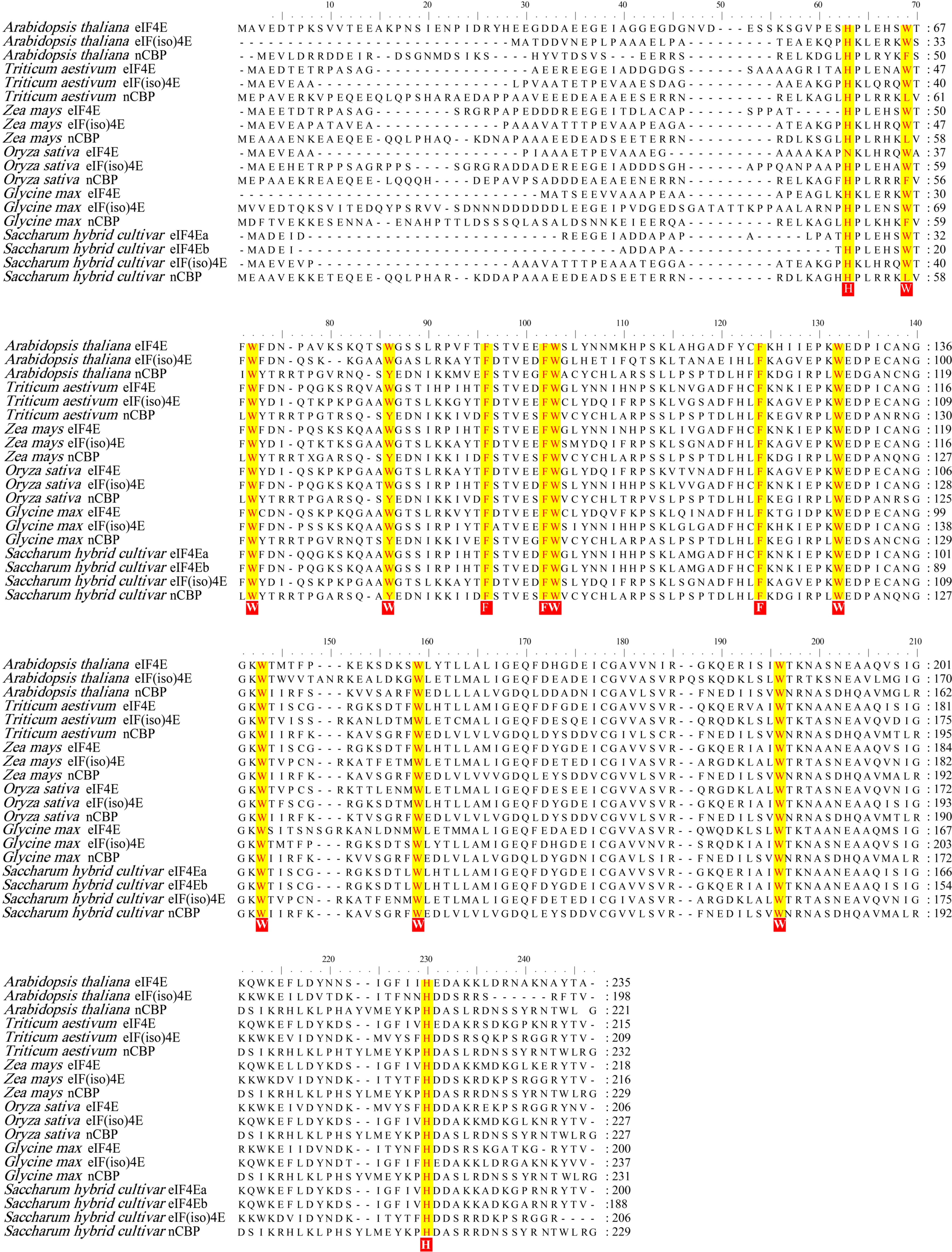 Viruses 13 00518 g001 Viruses 13 00518 g001
