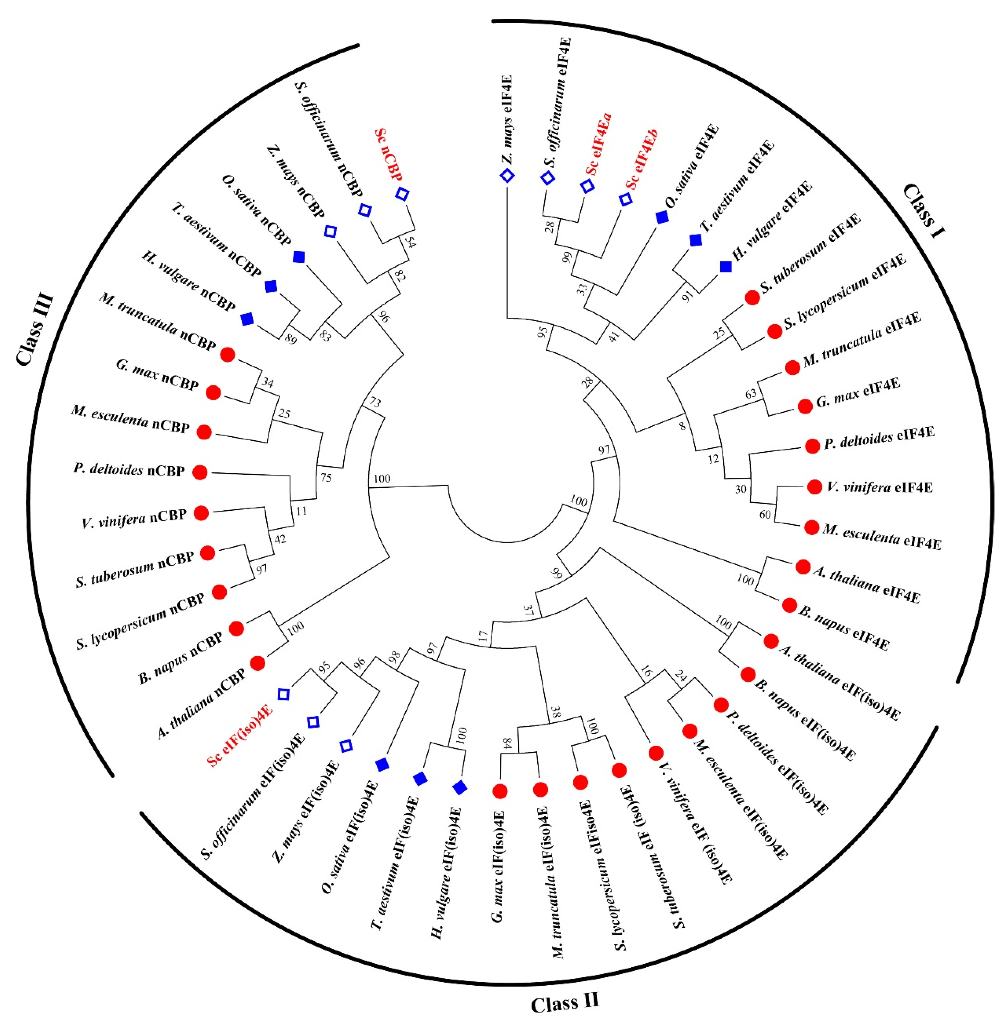 Viruses 13 00518 g002 Viruses 13 00518 g002