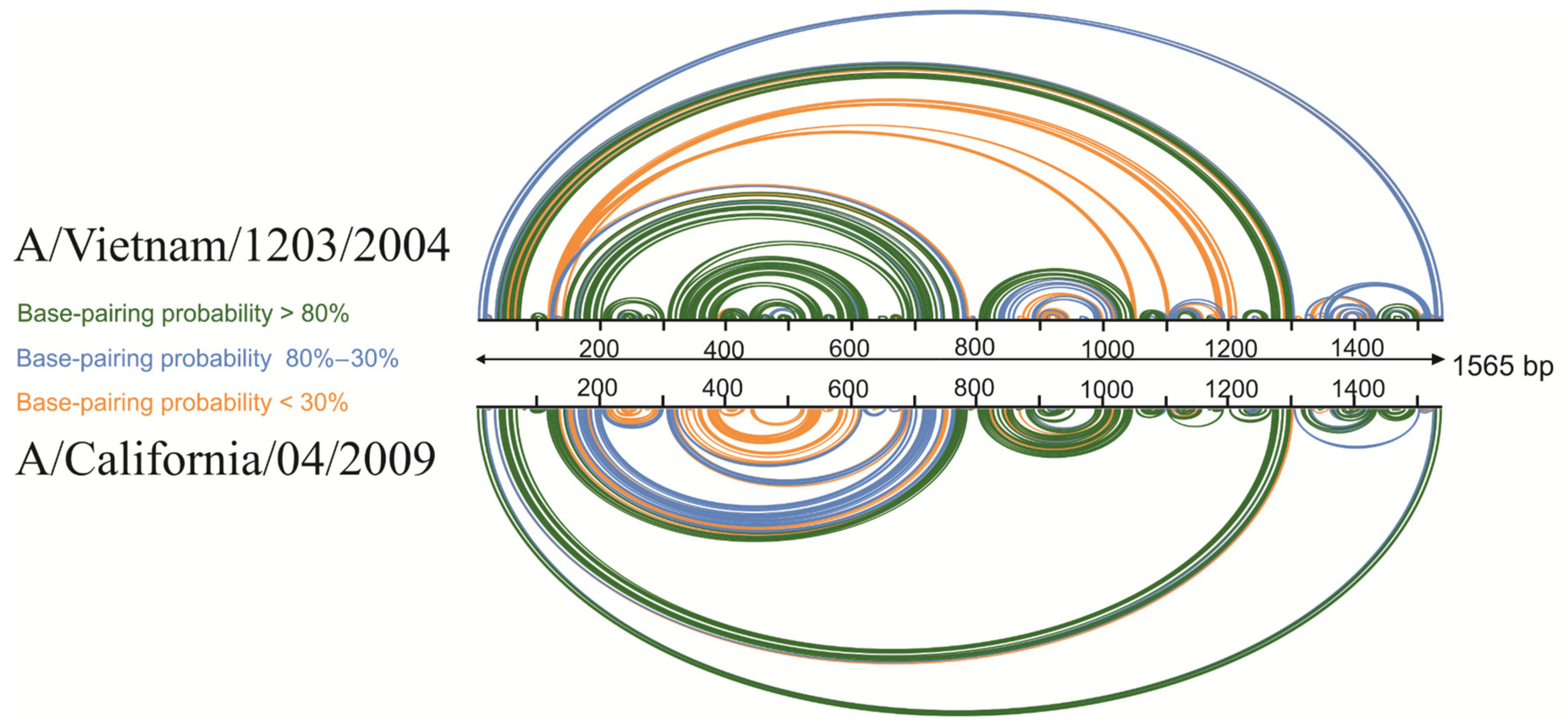 Viruses 13 00525 g003 Viruses 13 00525 g003
