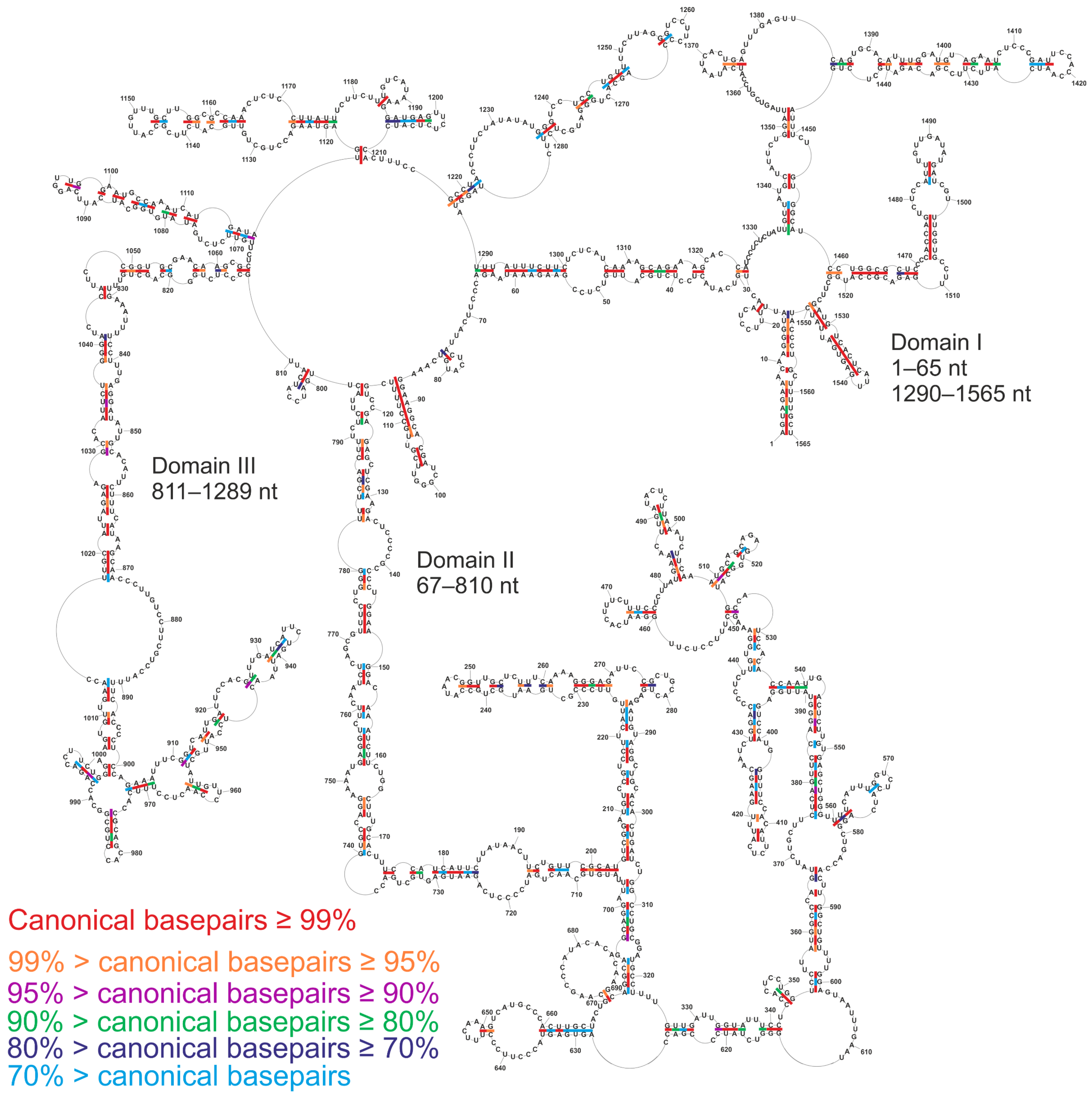 Viruses 13 00525 g004 Viruses 13 00525 g004