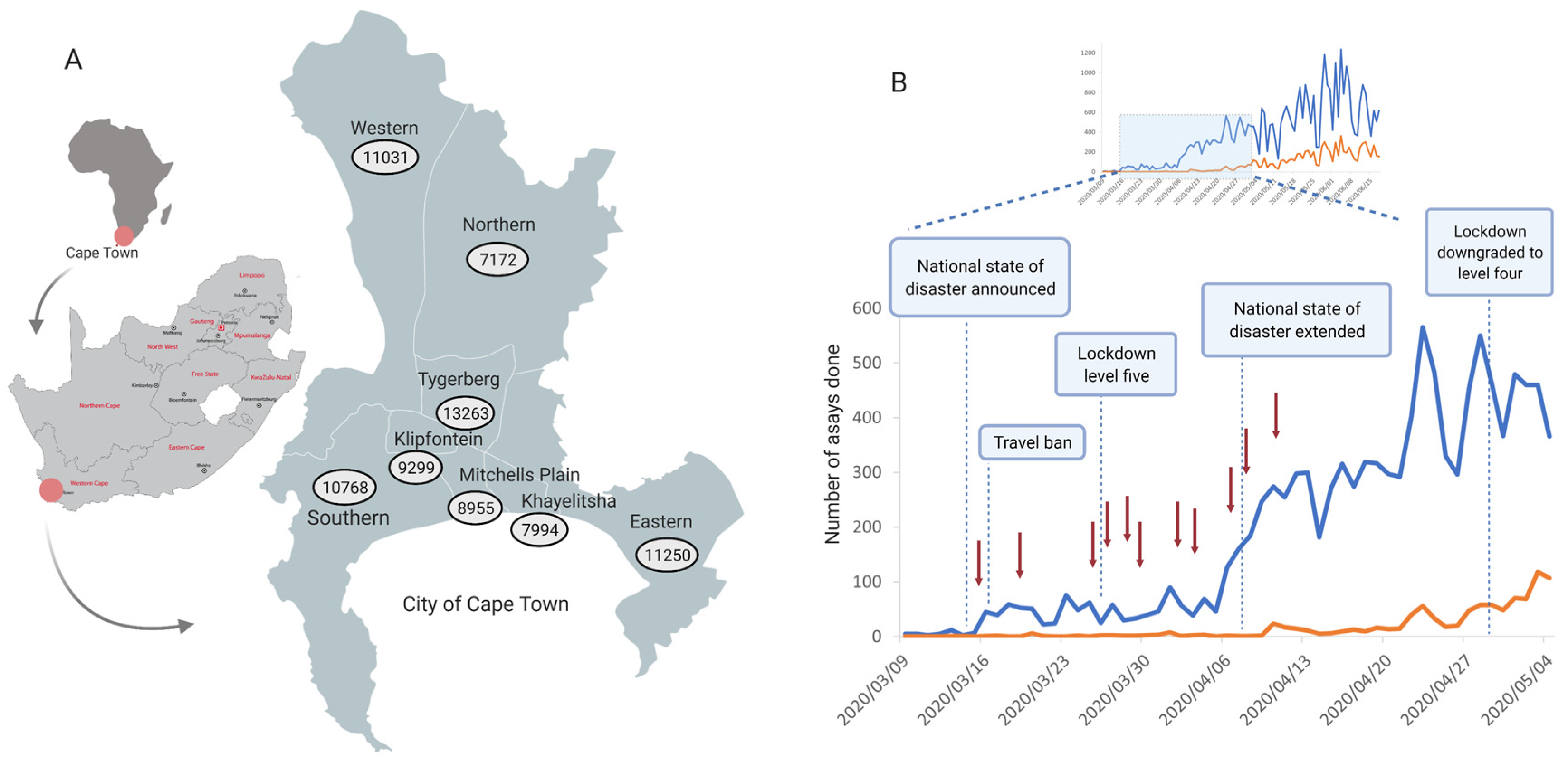 Viruses 13 00526 g001 Viruses 13 00526 g001