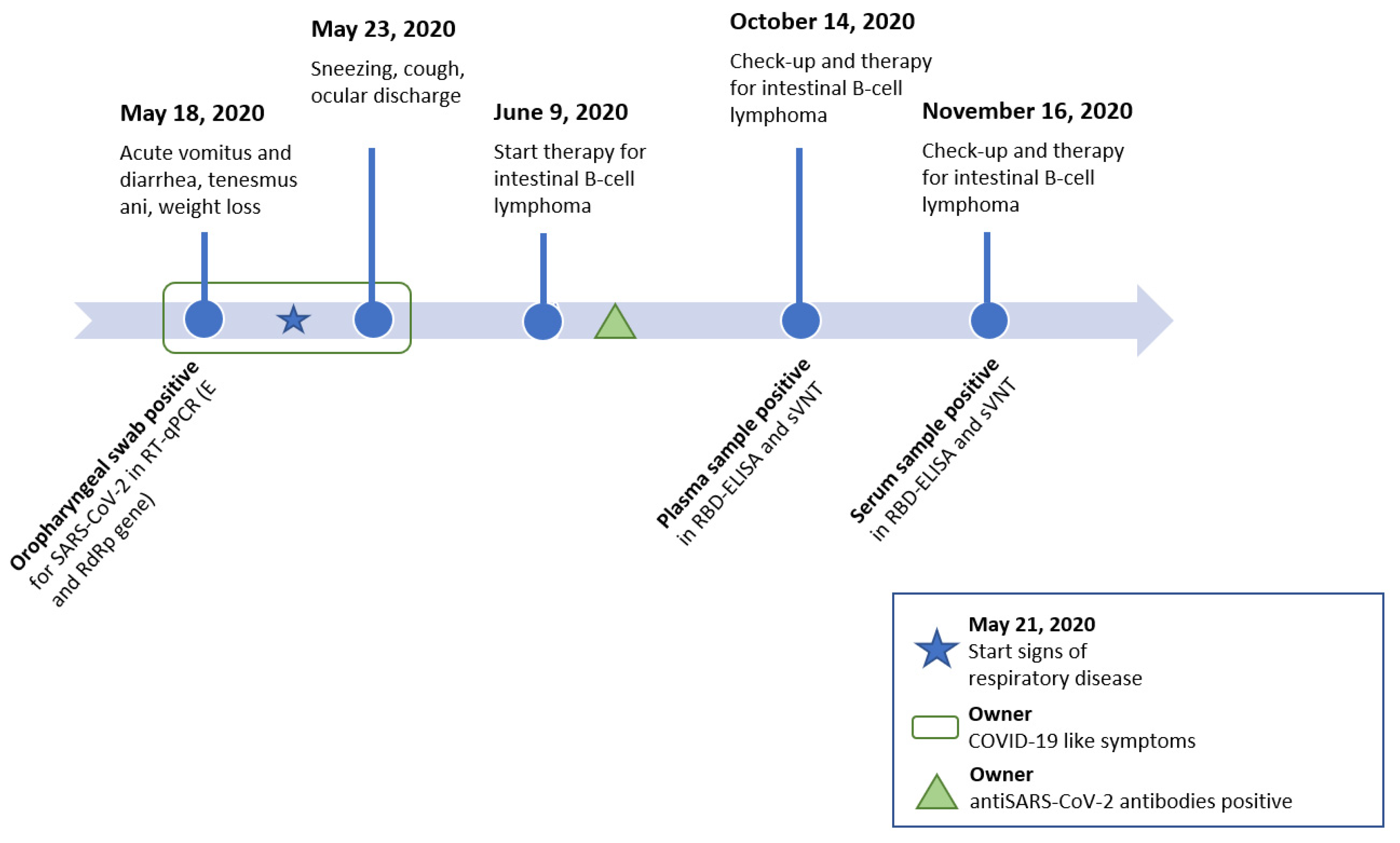 Viruses 13 00527 g001 Viruses 13 00527 g001