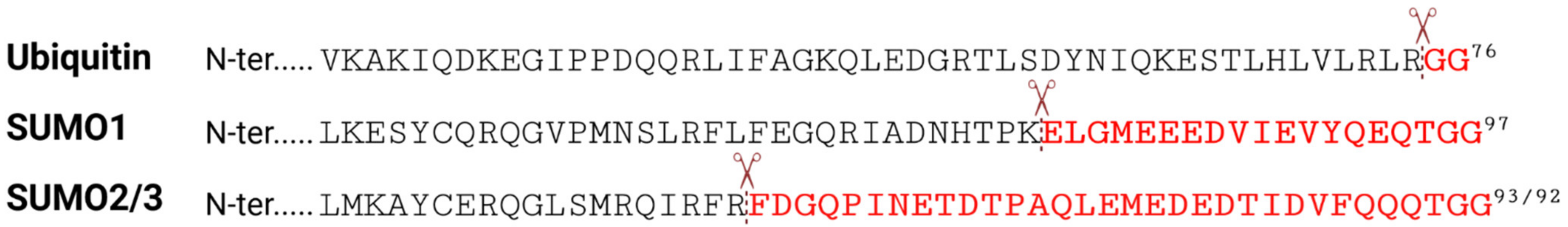Viruses 13 00528 g002 Viruses 13 00528 g002