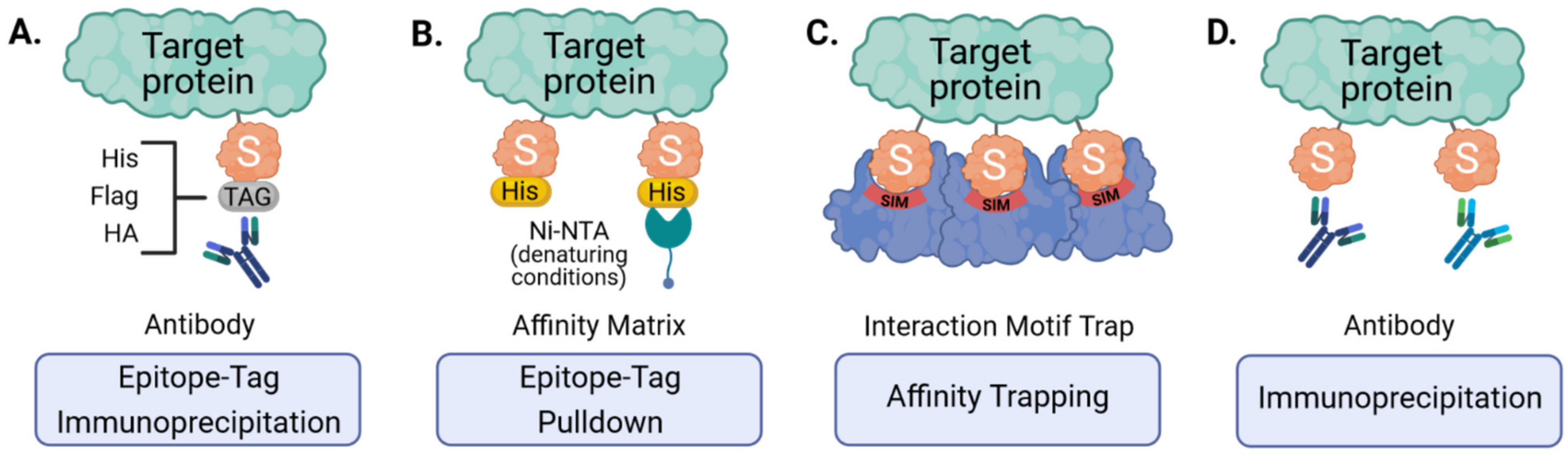 Viruses 13 00528 g003 Viruses 13 00528 g003