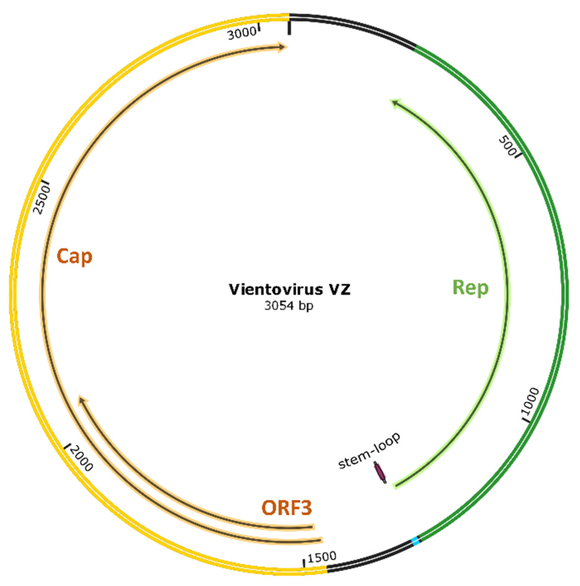 Viruses 13 00533 g001 Viruses 13 00533 g001