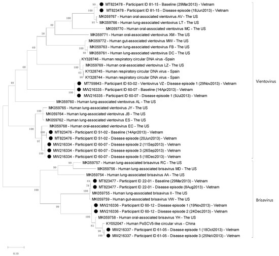 Image Nguyễn Phan Diệu Ly image beautiful image beautiful image beautiful image beautiful image beautiful image beautiful image beautiful image beautiful - Redondoviridae: High Prevalence and Possibly Chronic Shedding in ...