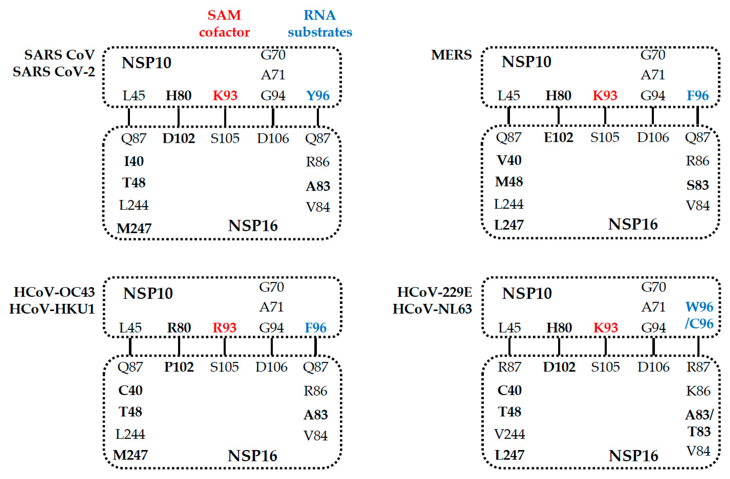Viruses 13 00538 g005 Viruses 13 00538 g005