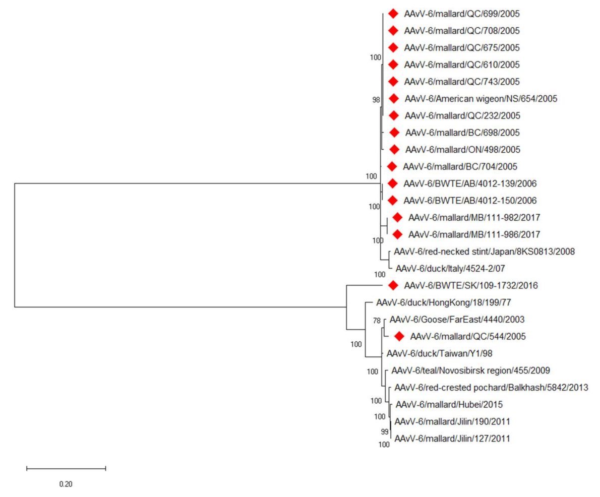 Viruses 13 00543 g001 Viruses 13 00543 g001