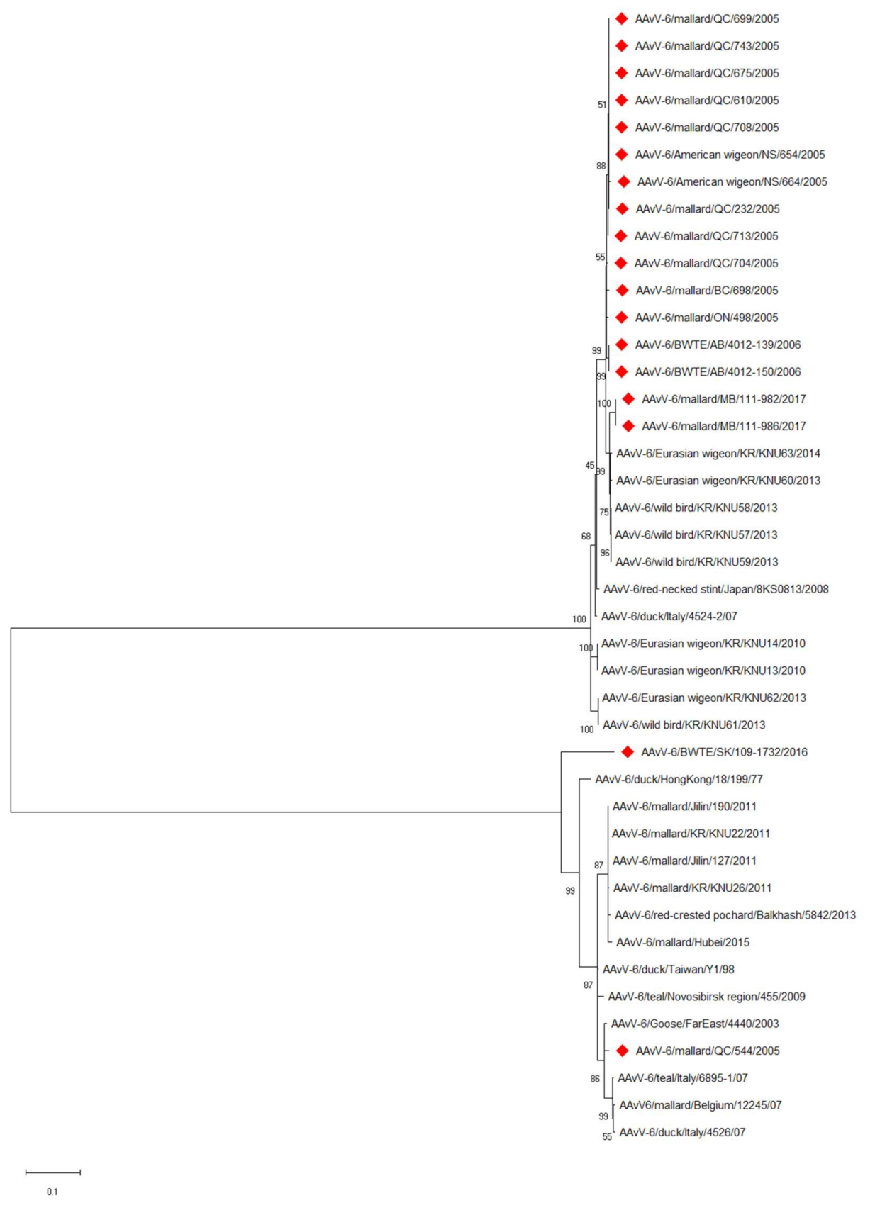 Viruses 13 00543 g002 Viruses 13 00543 g002