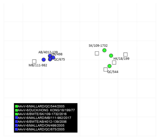 Genetic and Antigenic Characterization of Avian Avulavirus Type 6 (AAvV ...