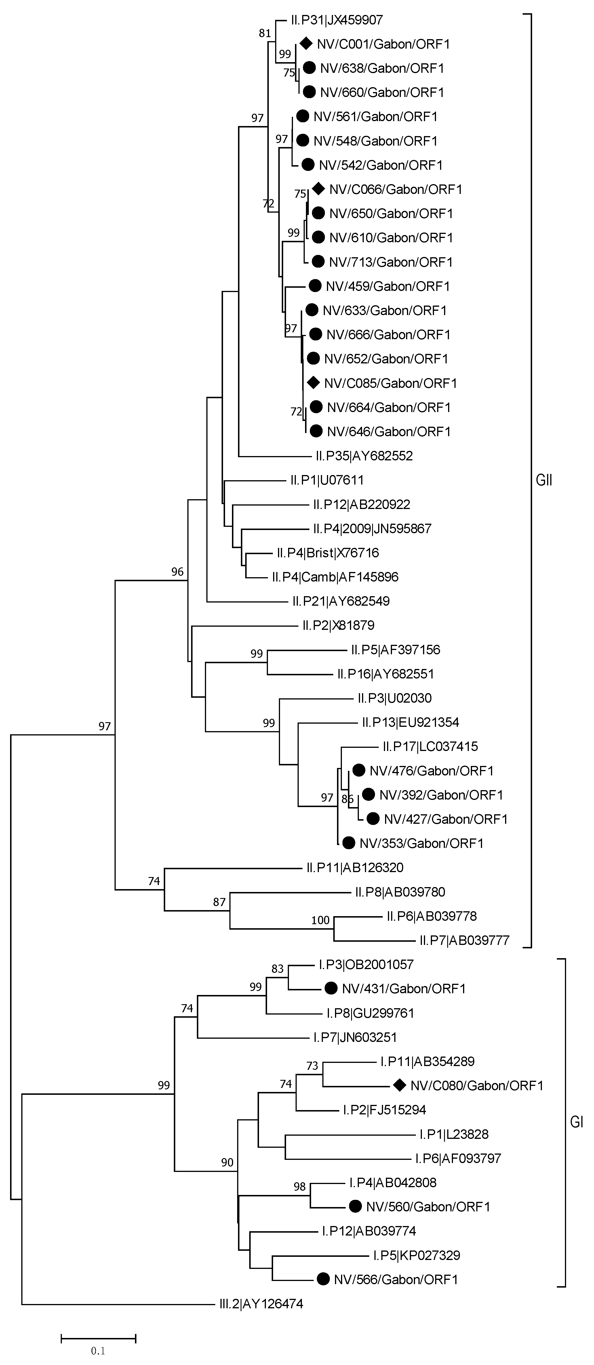Viruses 13 00545 g002 Viruses 13 00545 g002