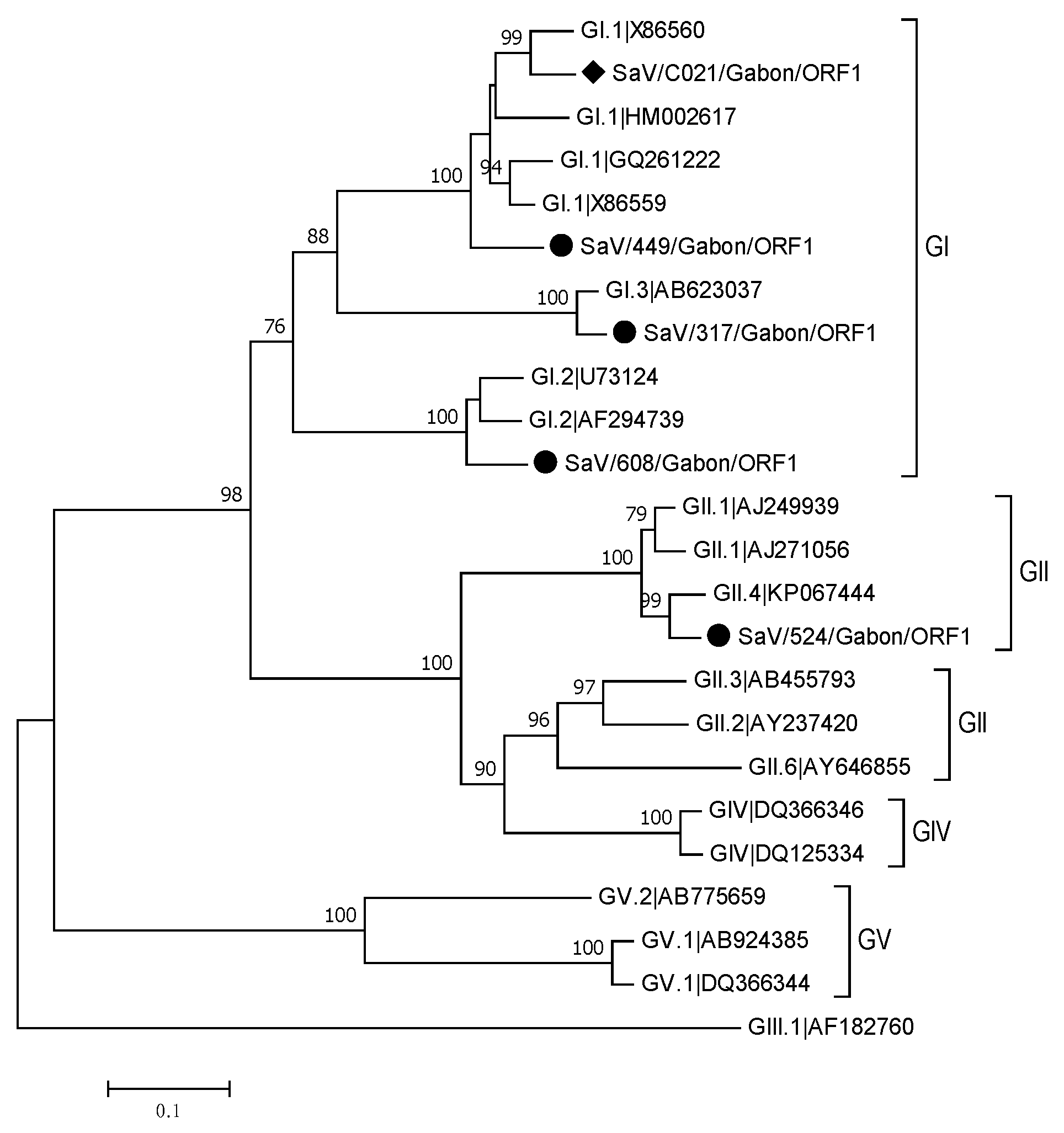 Viruses 13 00545 g005 Viruses 13 00545 g005
