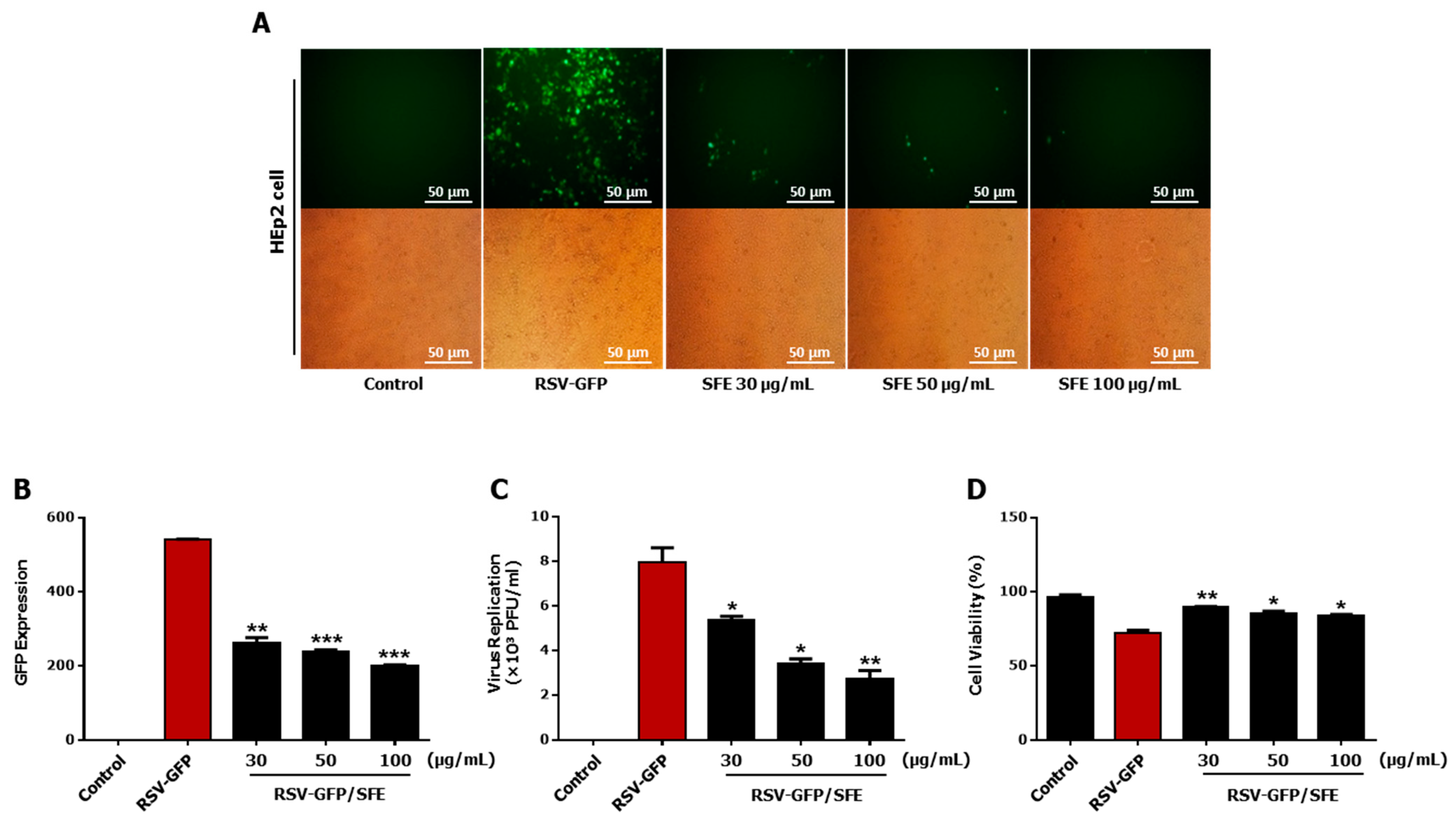 Viruses 13 00548 g001 Viruses 13 00548 g001