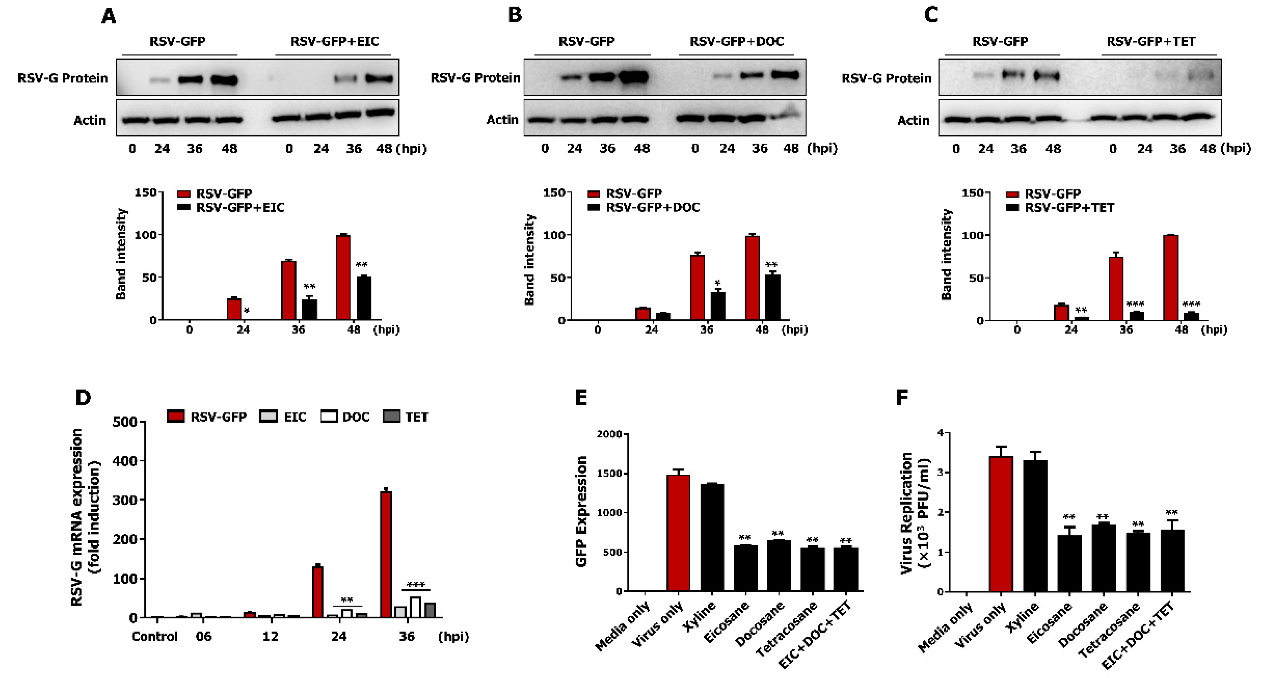 Viruses 13 00548 g005 Viruses 13 00548 g005
