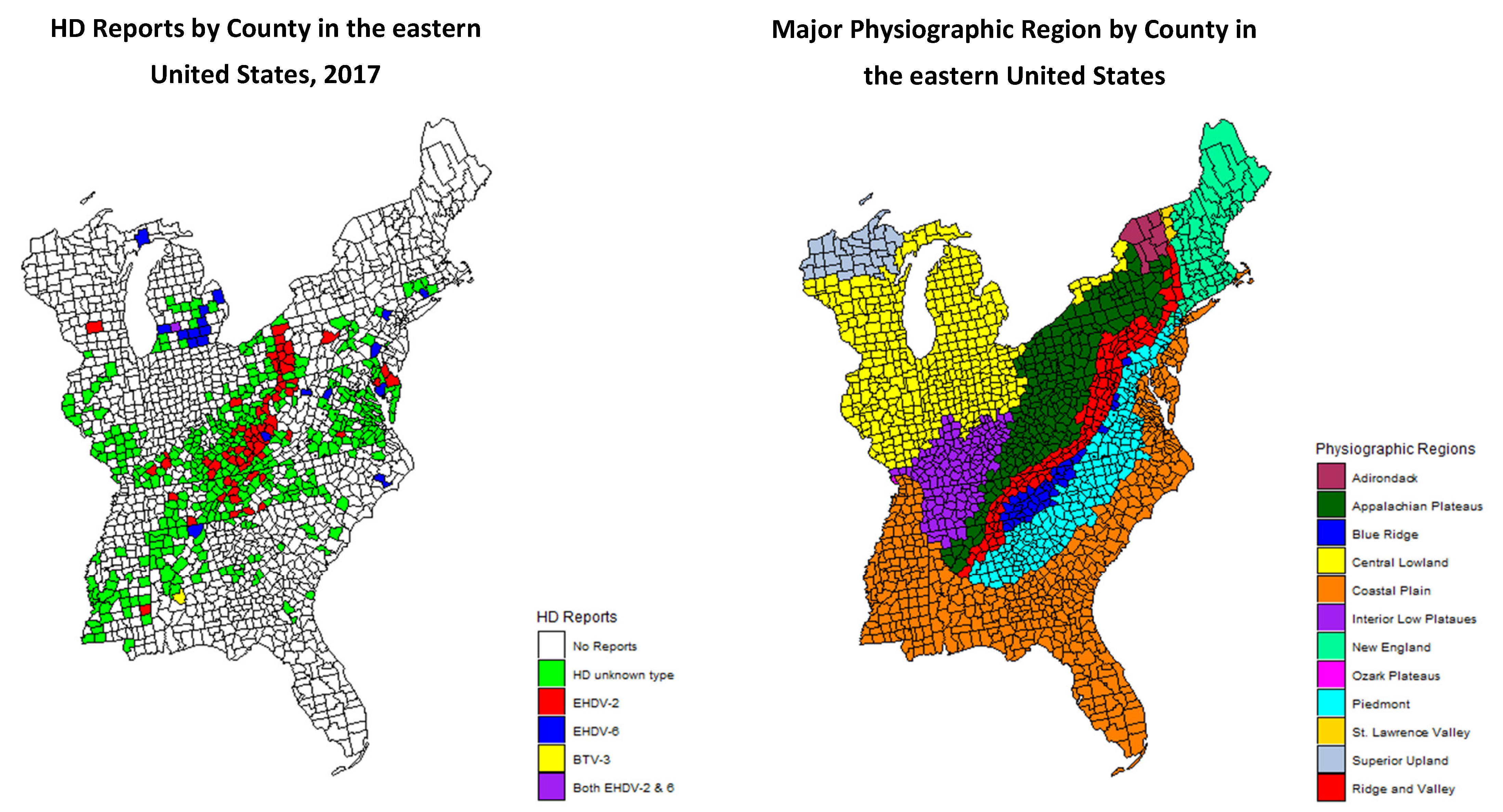 Viruses 13 00550 g001