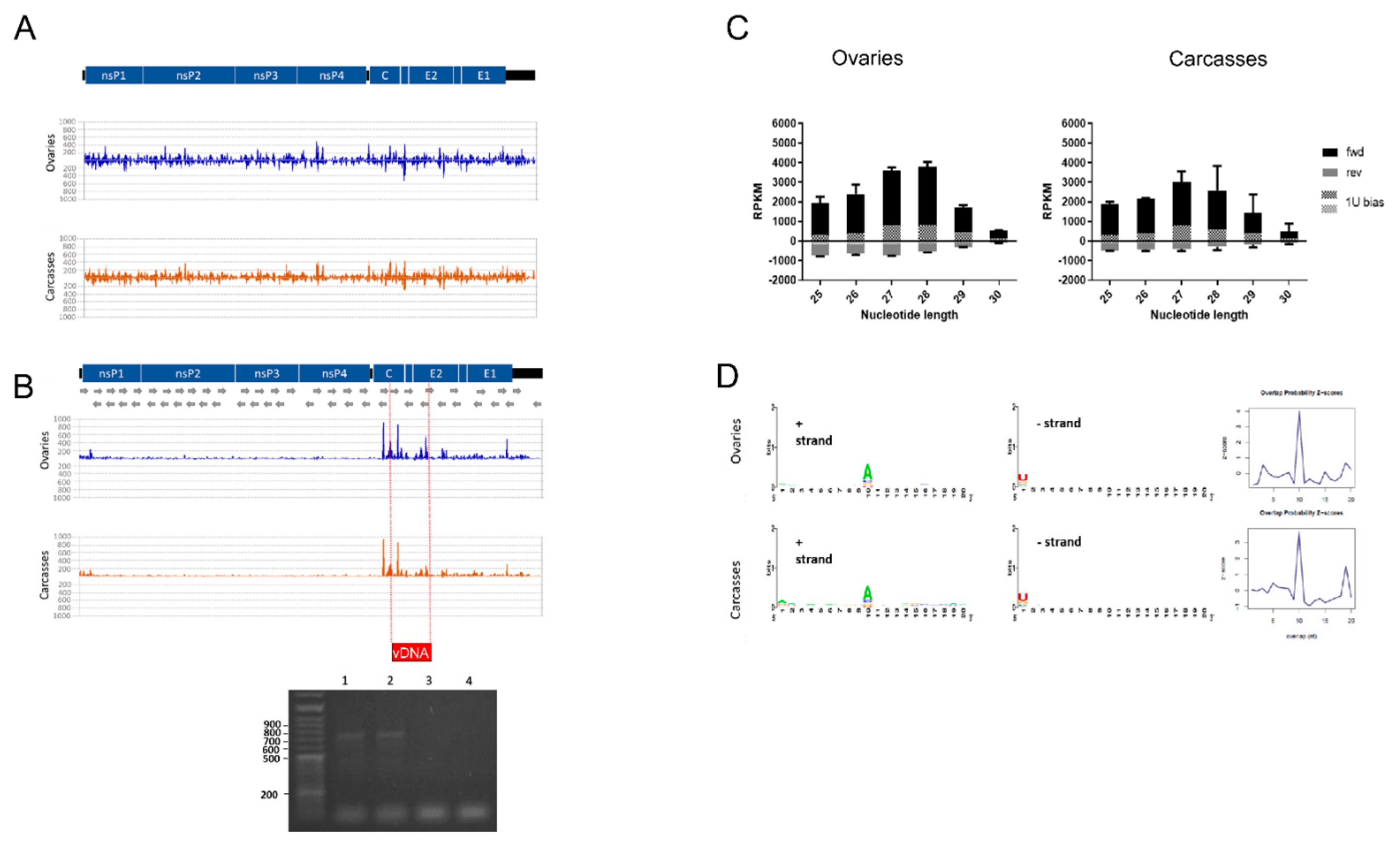 Viruses 13 00553 g002 Viruses 13 00553 g002