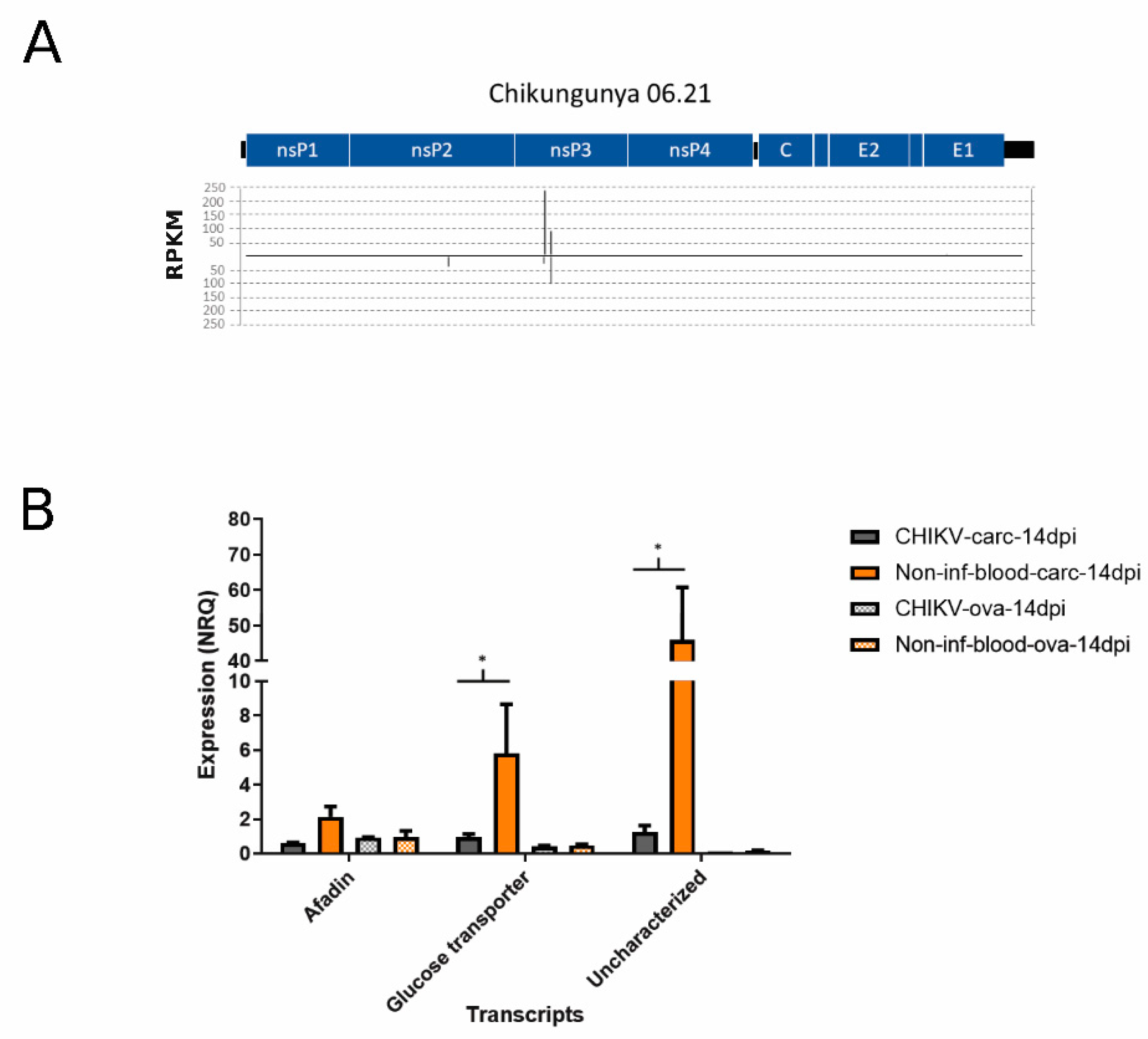 Viruses 13 00553 g003 Viruses 13 00553 g003