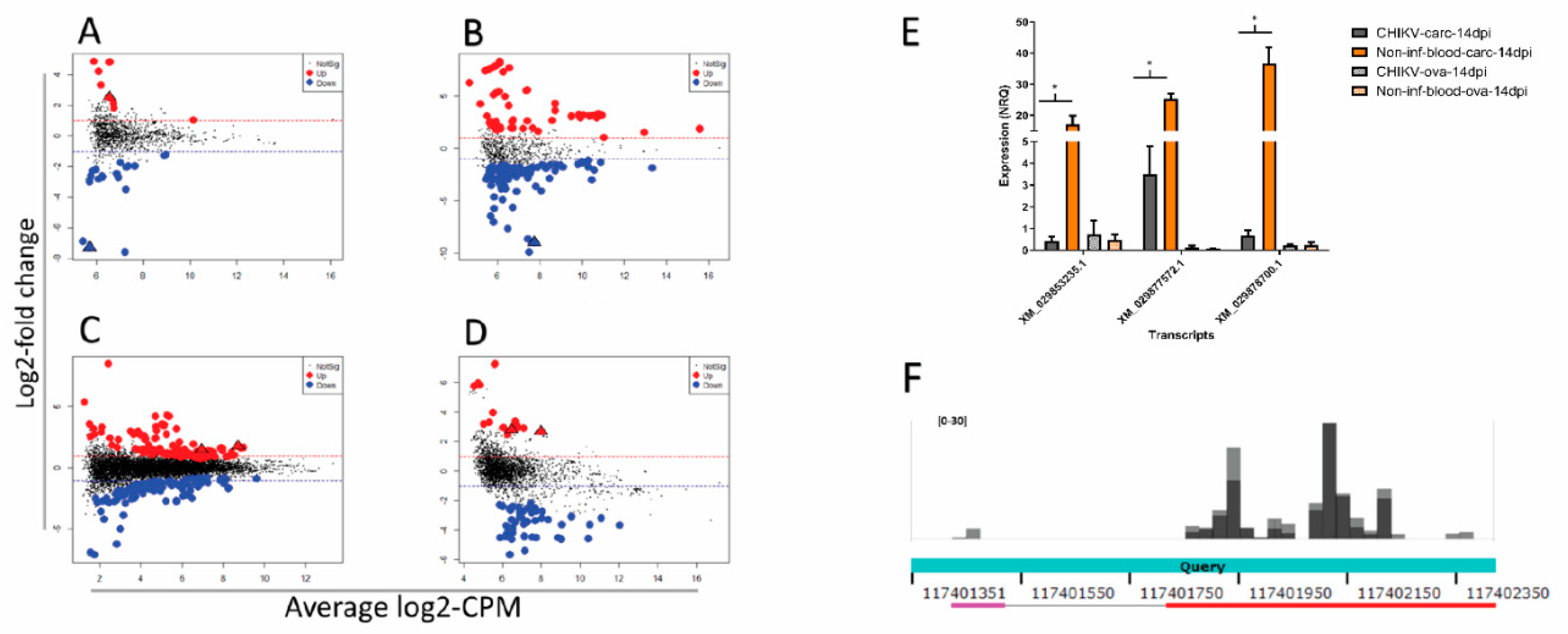 Viruses 13 00553 g004 Viruses 13 00553 g004
